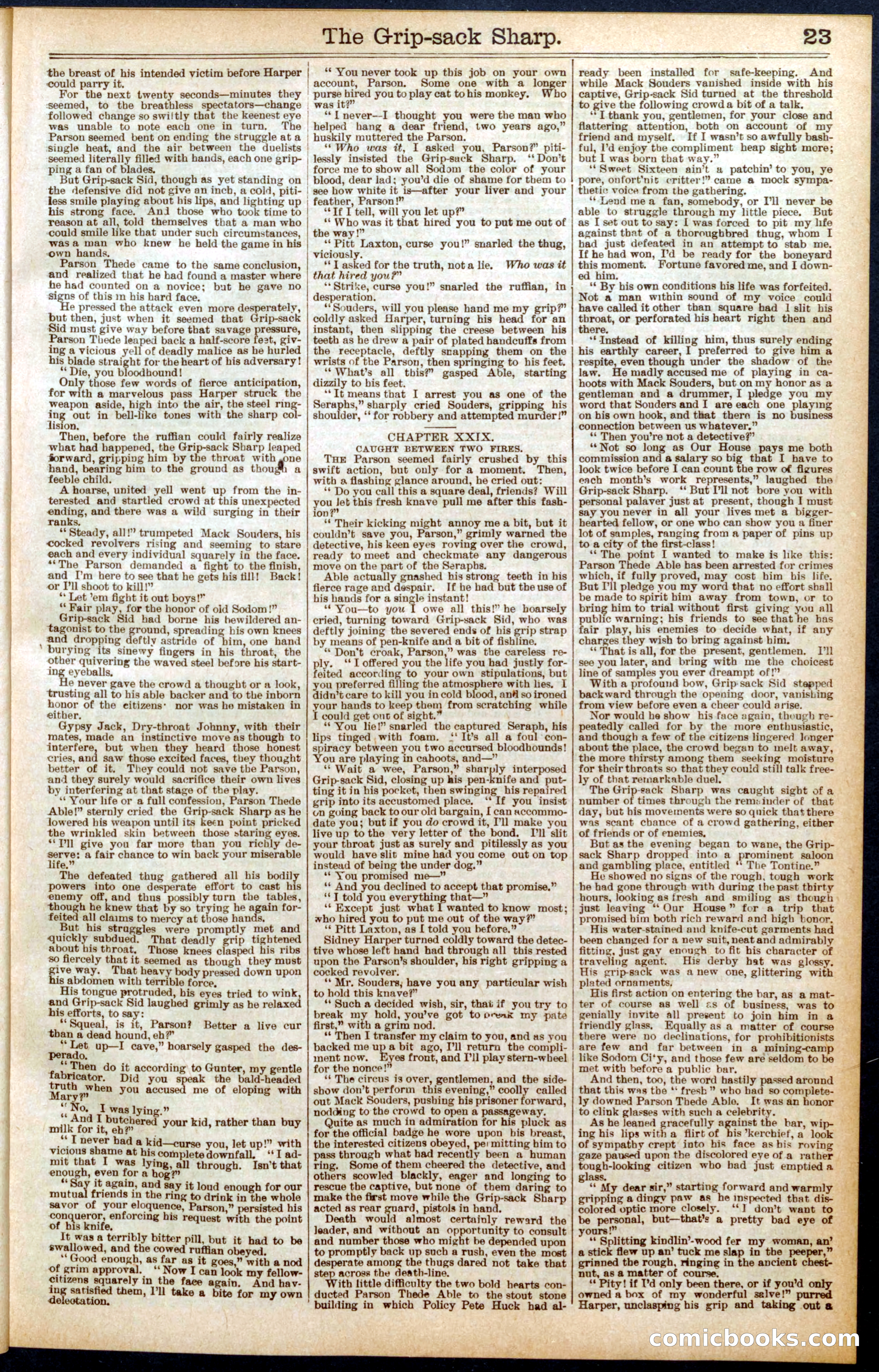 Beadle's Dime Library No. 564 — page 23 of 32