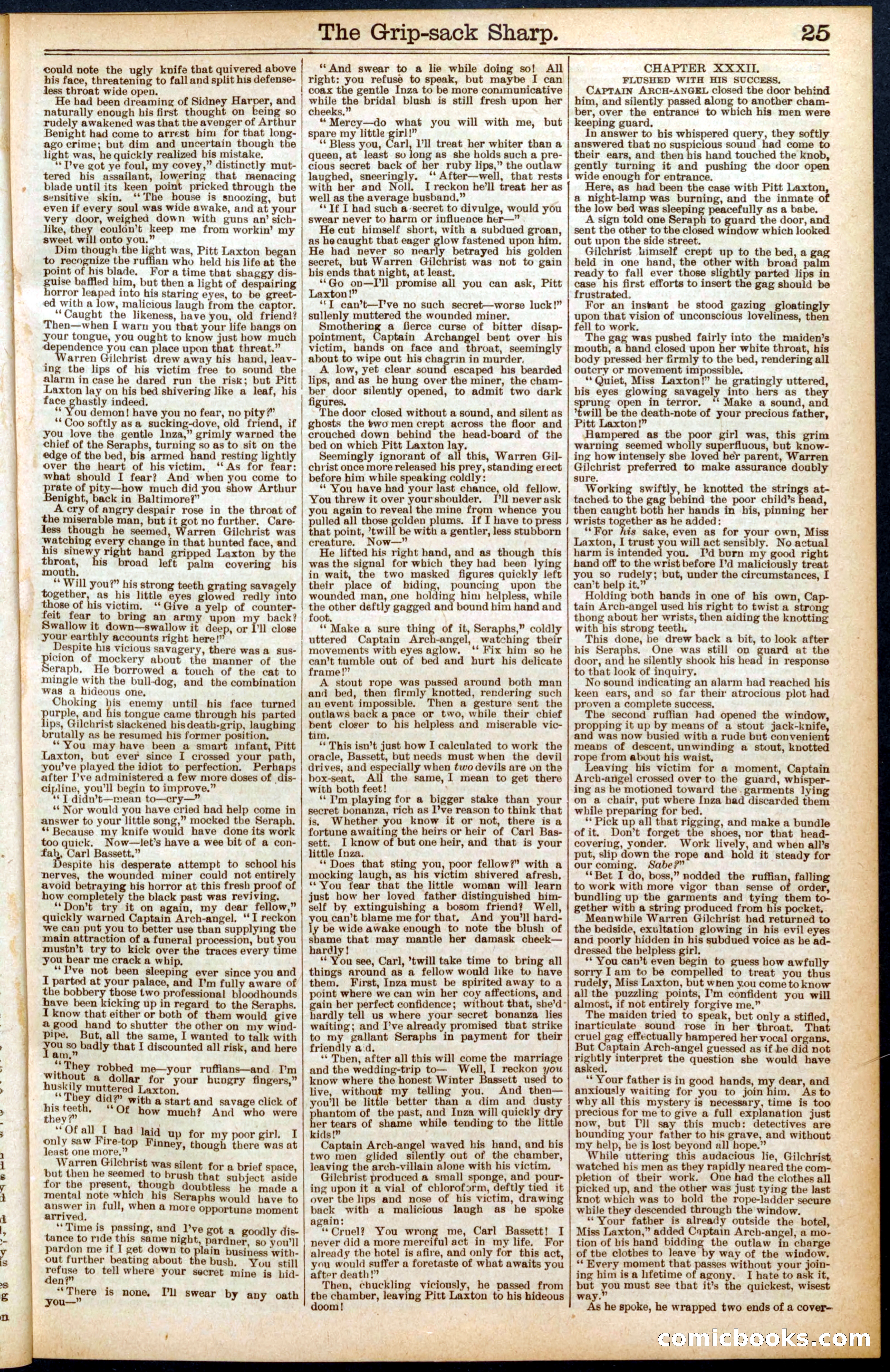 Beadle's Dime Library No. 564 — page 25 of 32