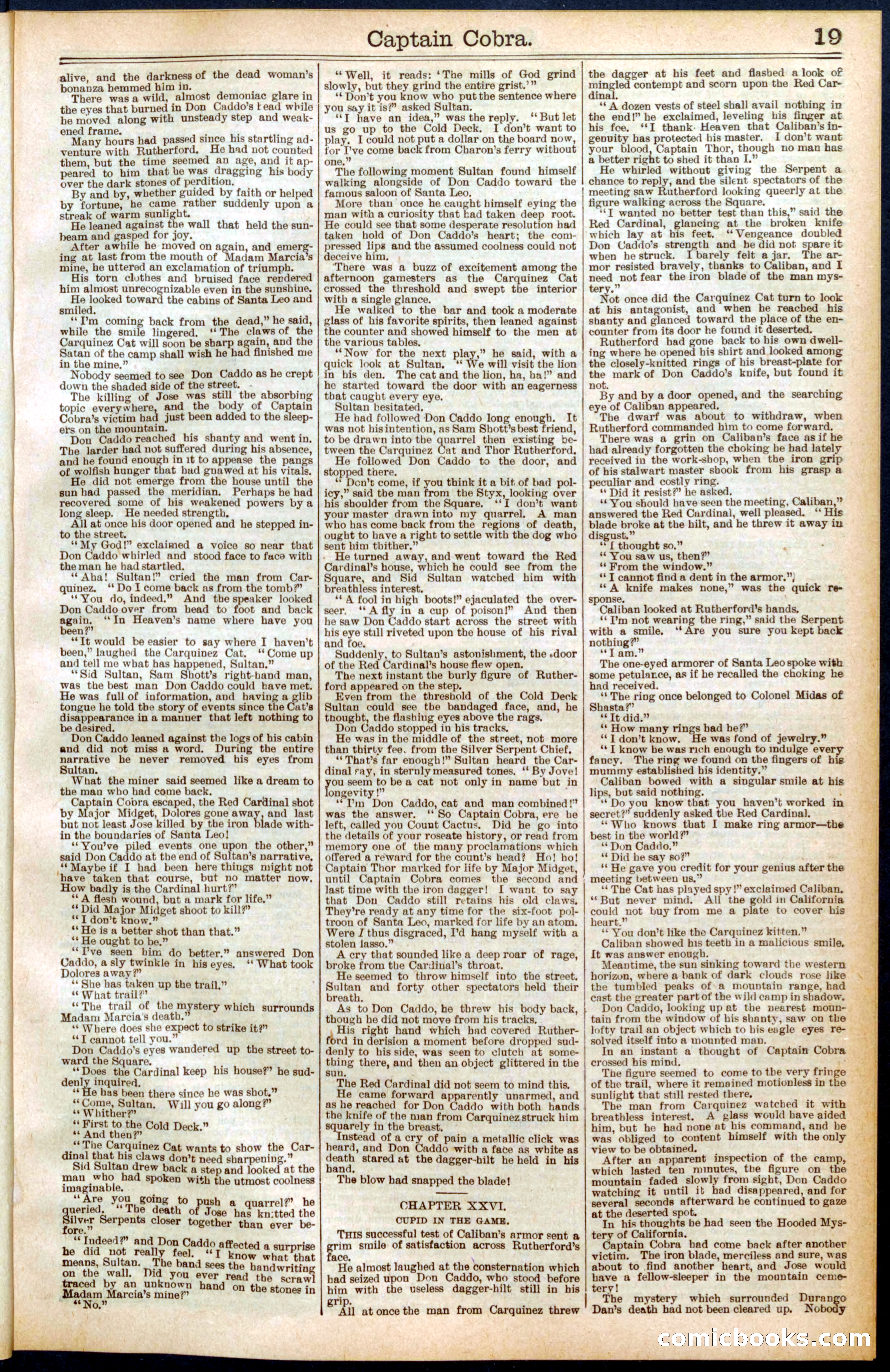 Beadle's Dime Library No. 569 — page 19 of 32