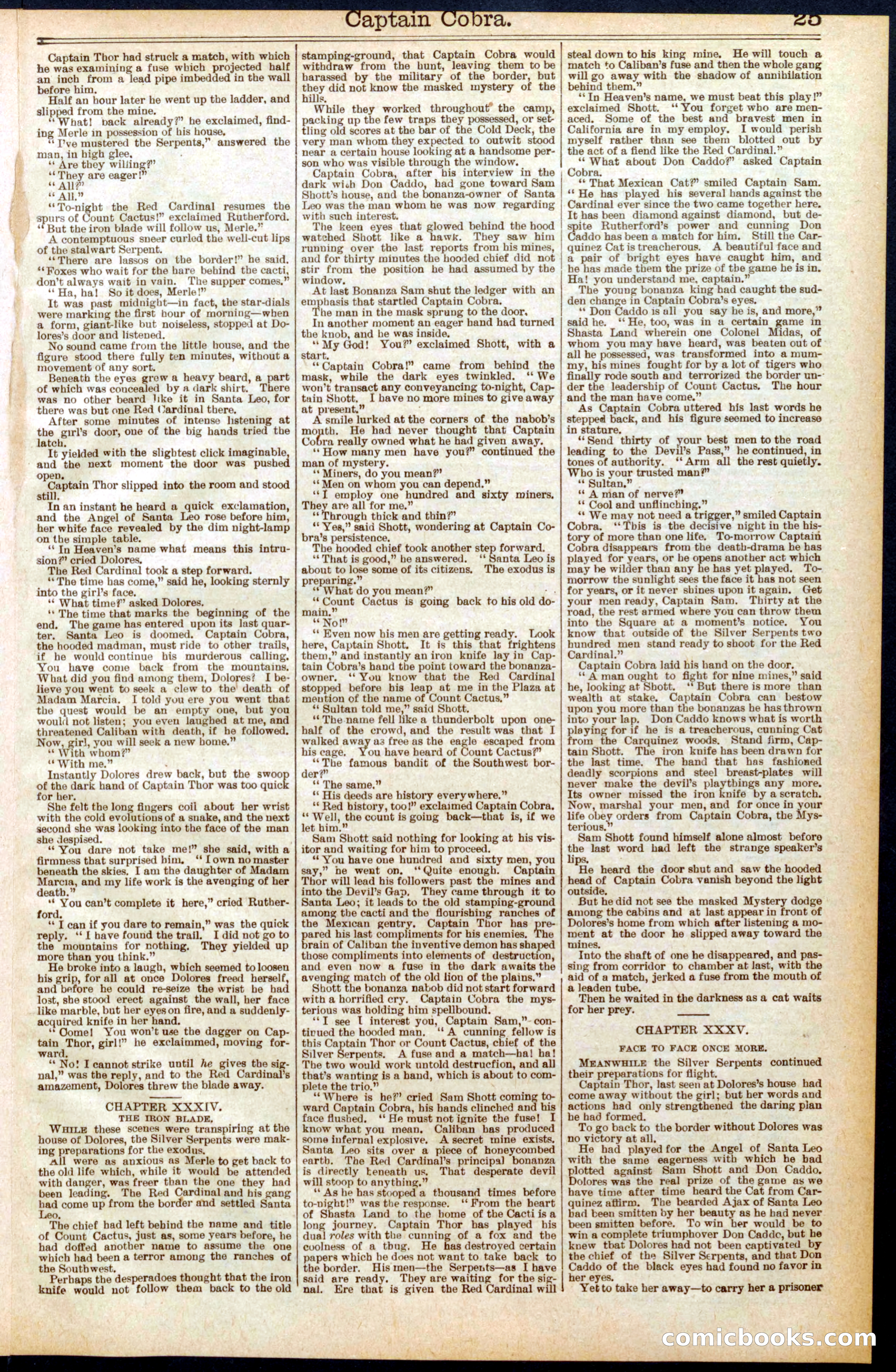Beadle's Dime Library No. 569 — page 25 of 32
