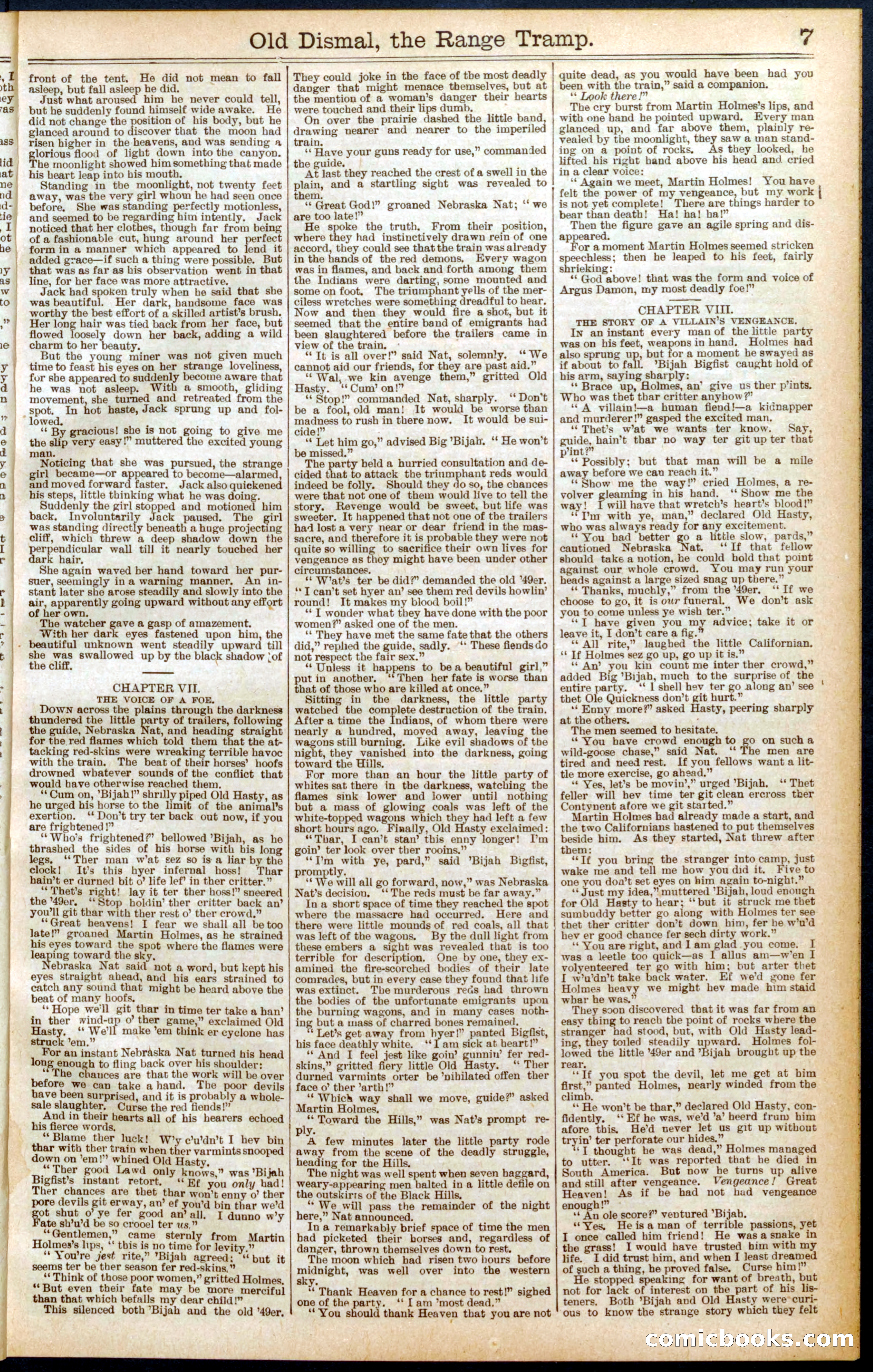 Beadle's New York Dime Library, No. 571 — page 7 of 32