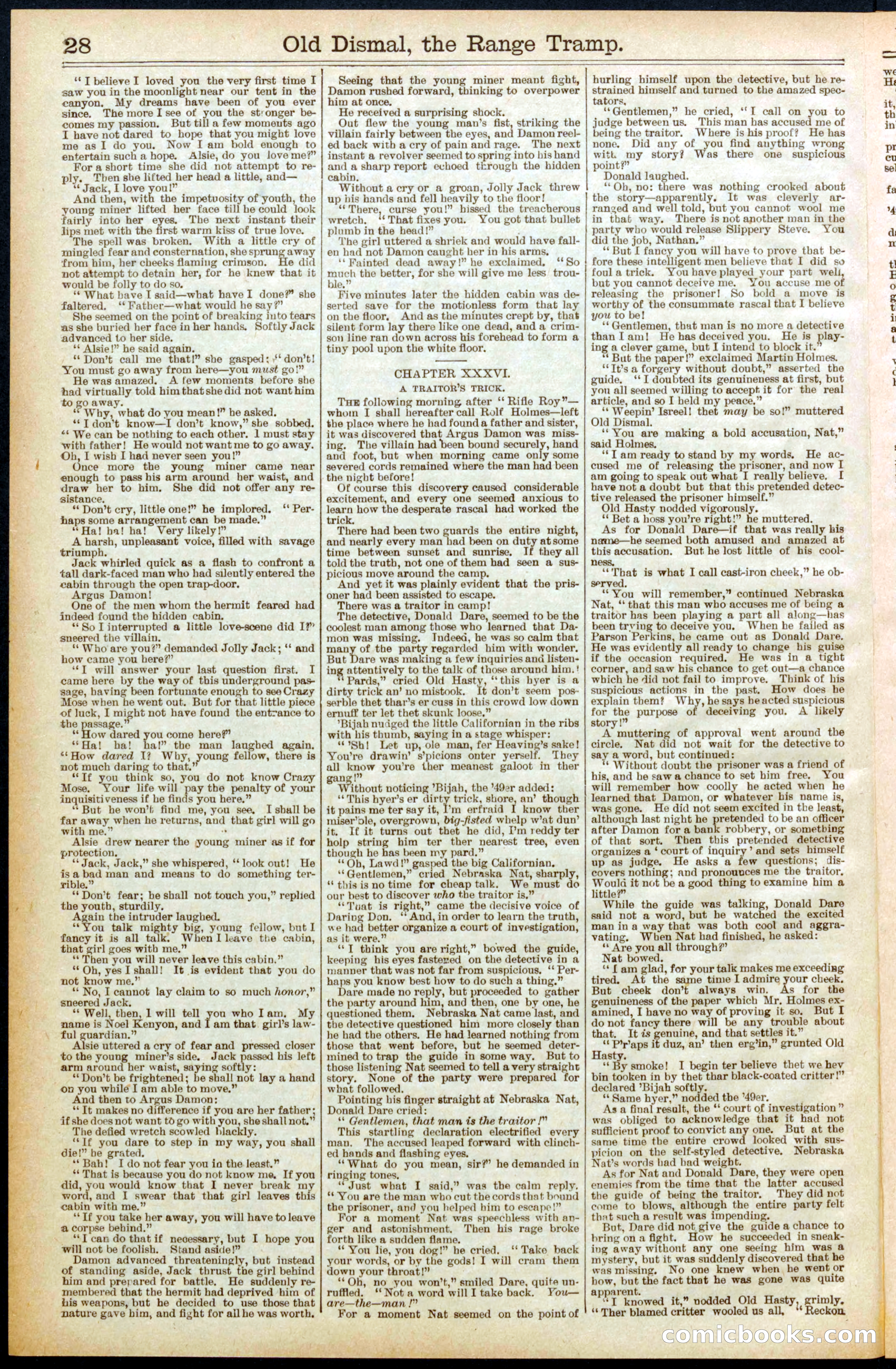 Beadle's New York Dime Library, No. 571 — page 28 of 32