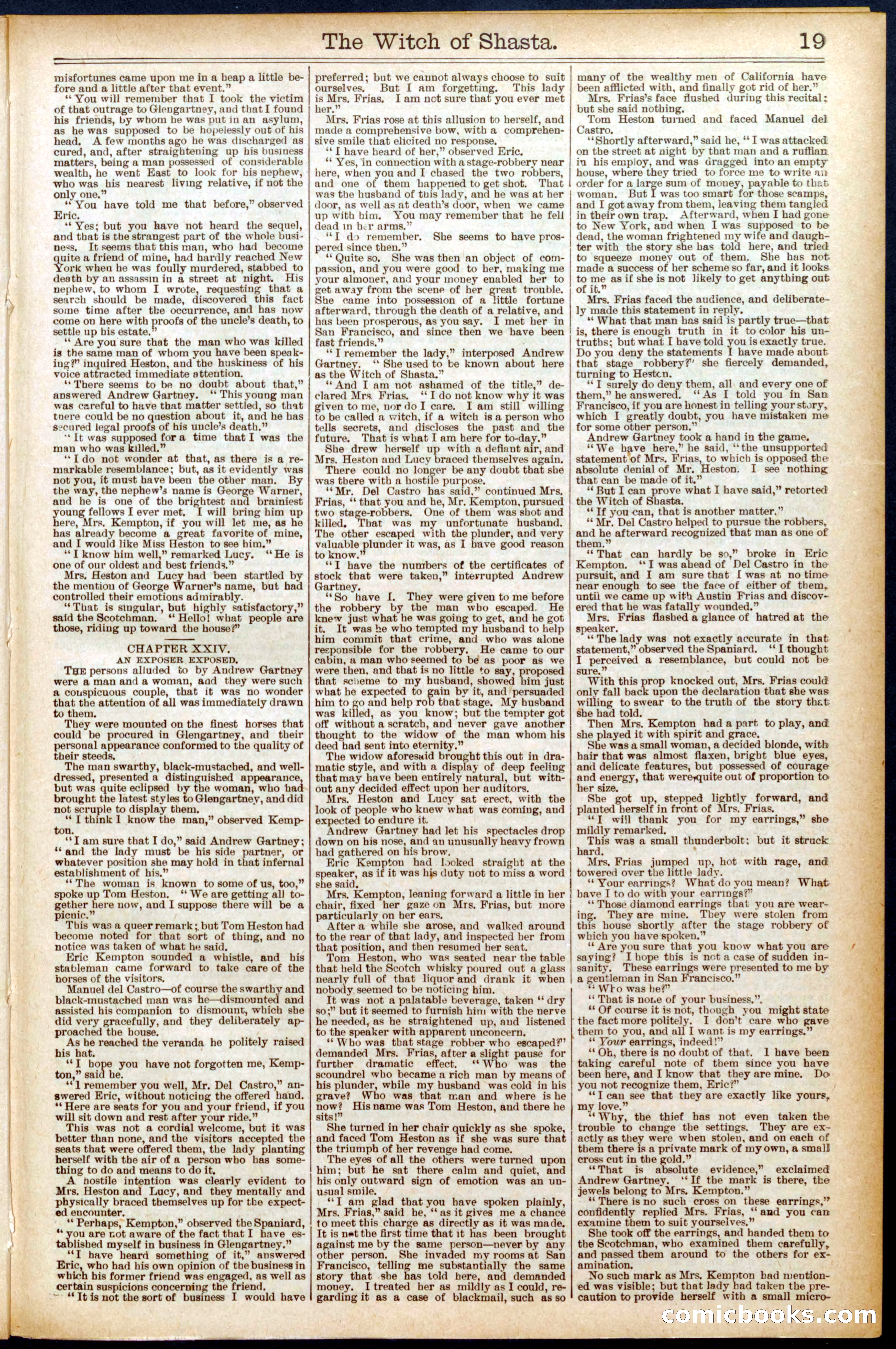 Beadle's New York Dime Library No. 573 — page 19 of 32