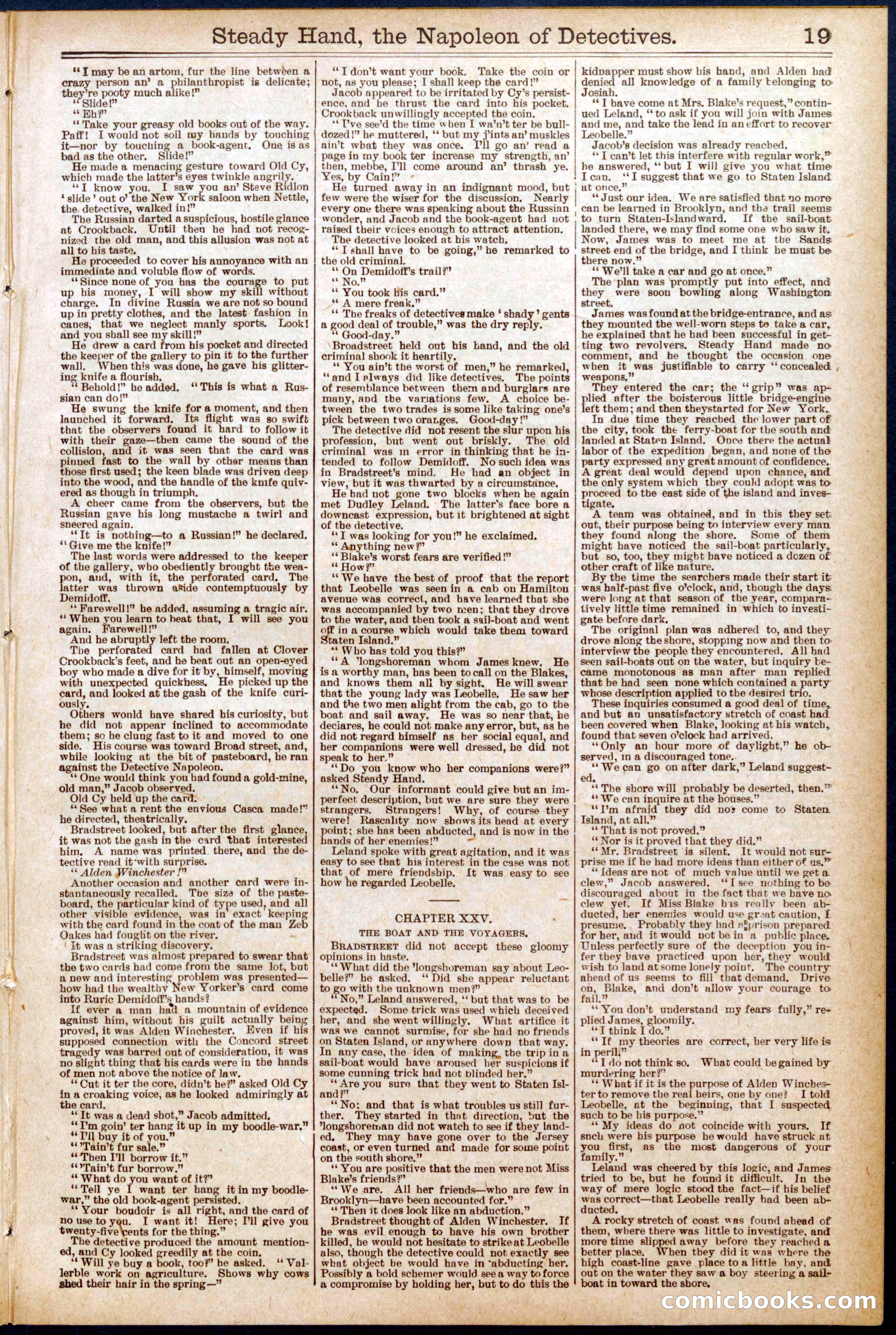 Beadle's New York Dime Library No. 575 — page 19 of 32