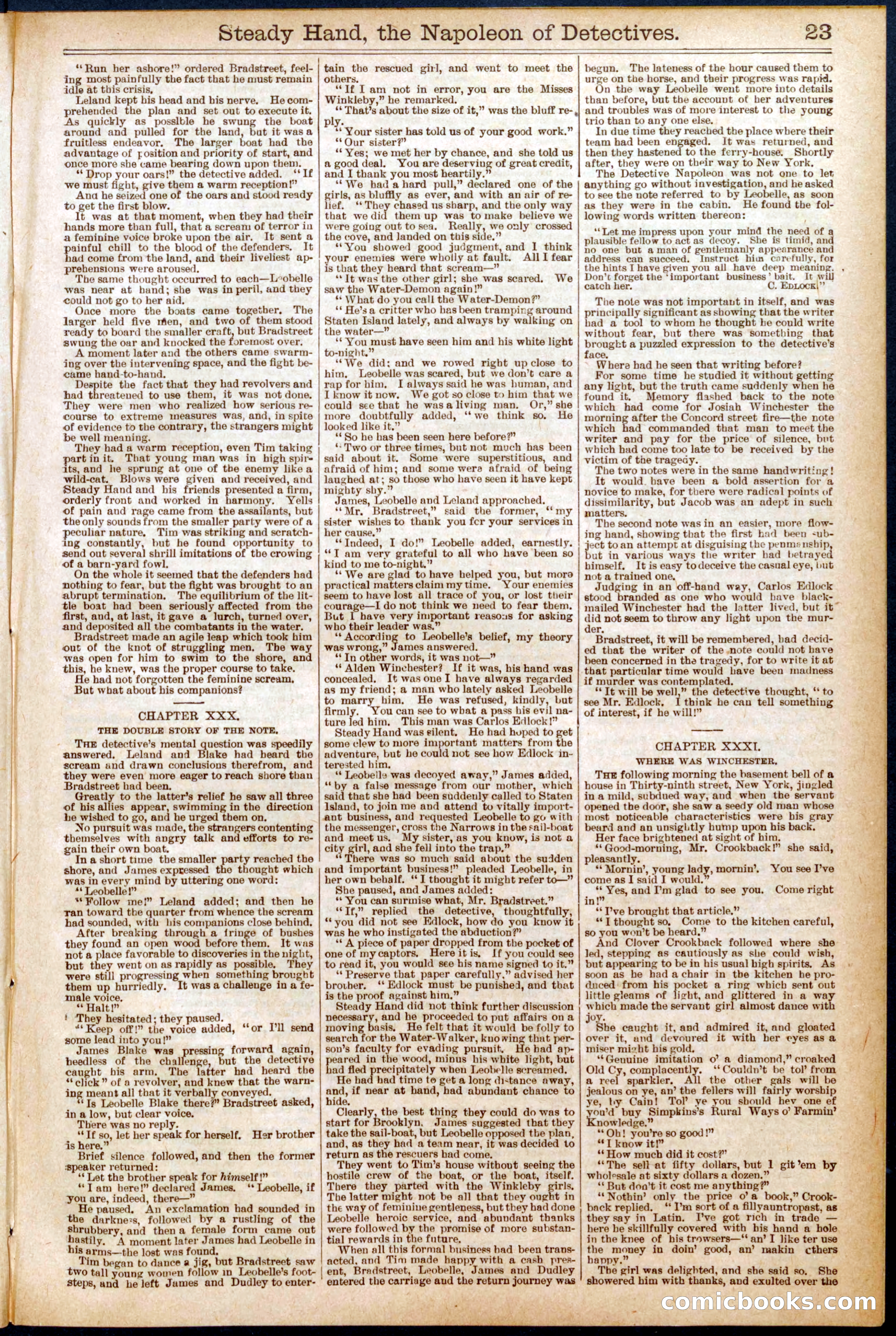 Beadle's New York Dime Library No. 575 — page 23 of 32