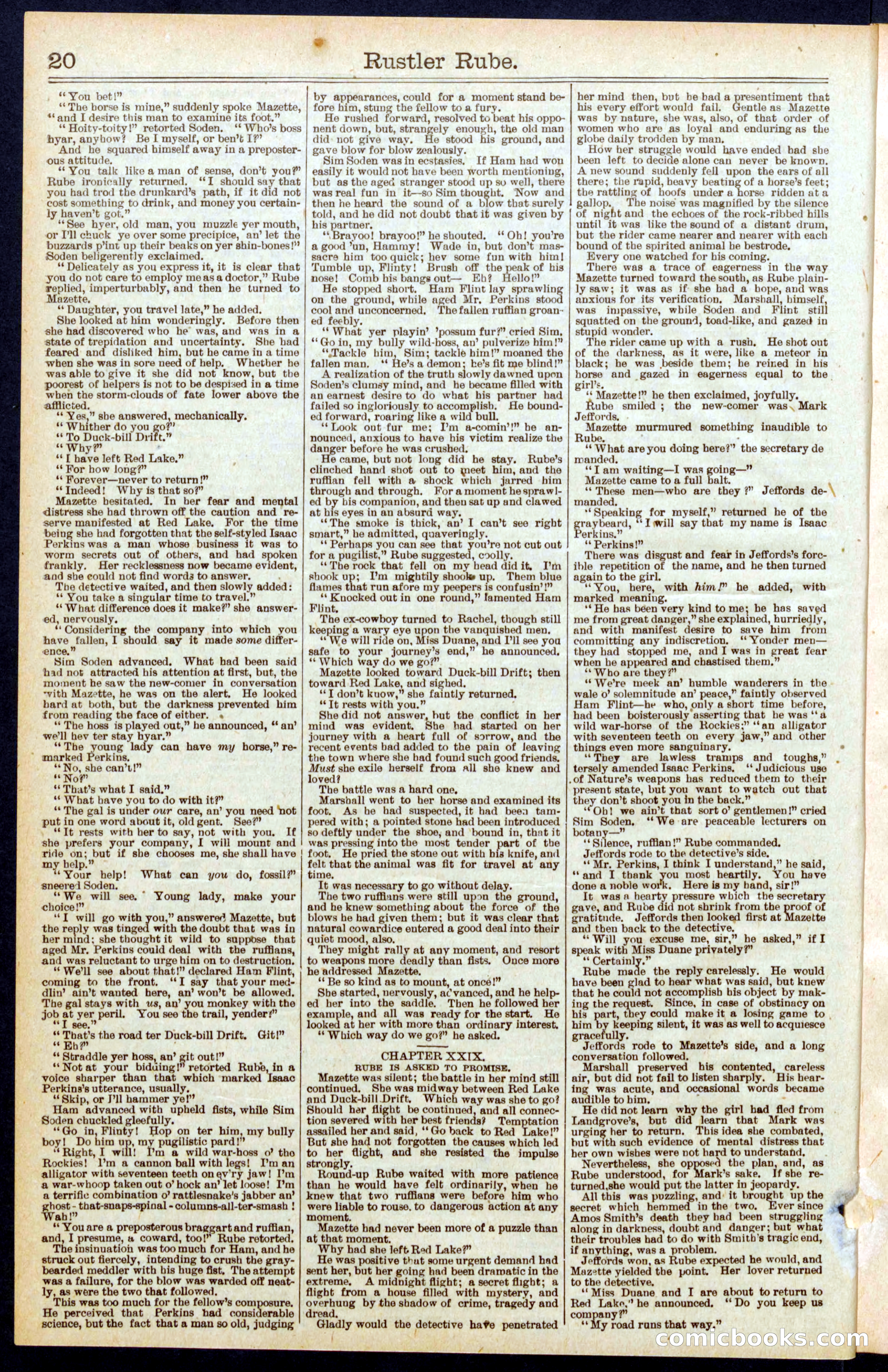 Beadle's New York Dime Library, No. 596 — page 20 of 32