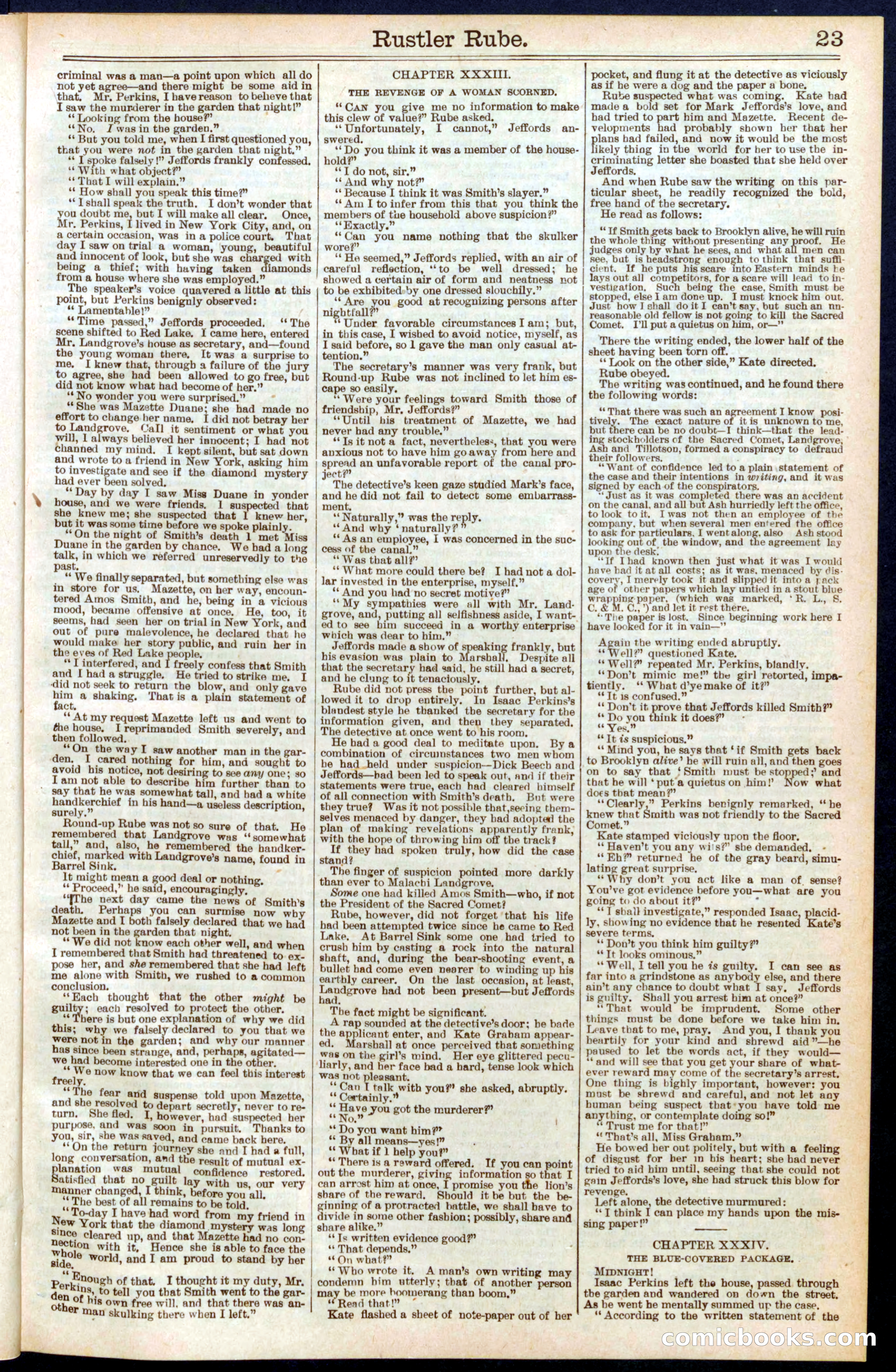 Beadle's New York Dime Library, No. 596 — page 23 of 32