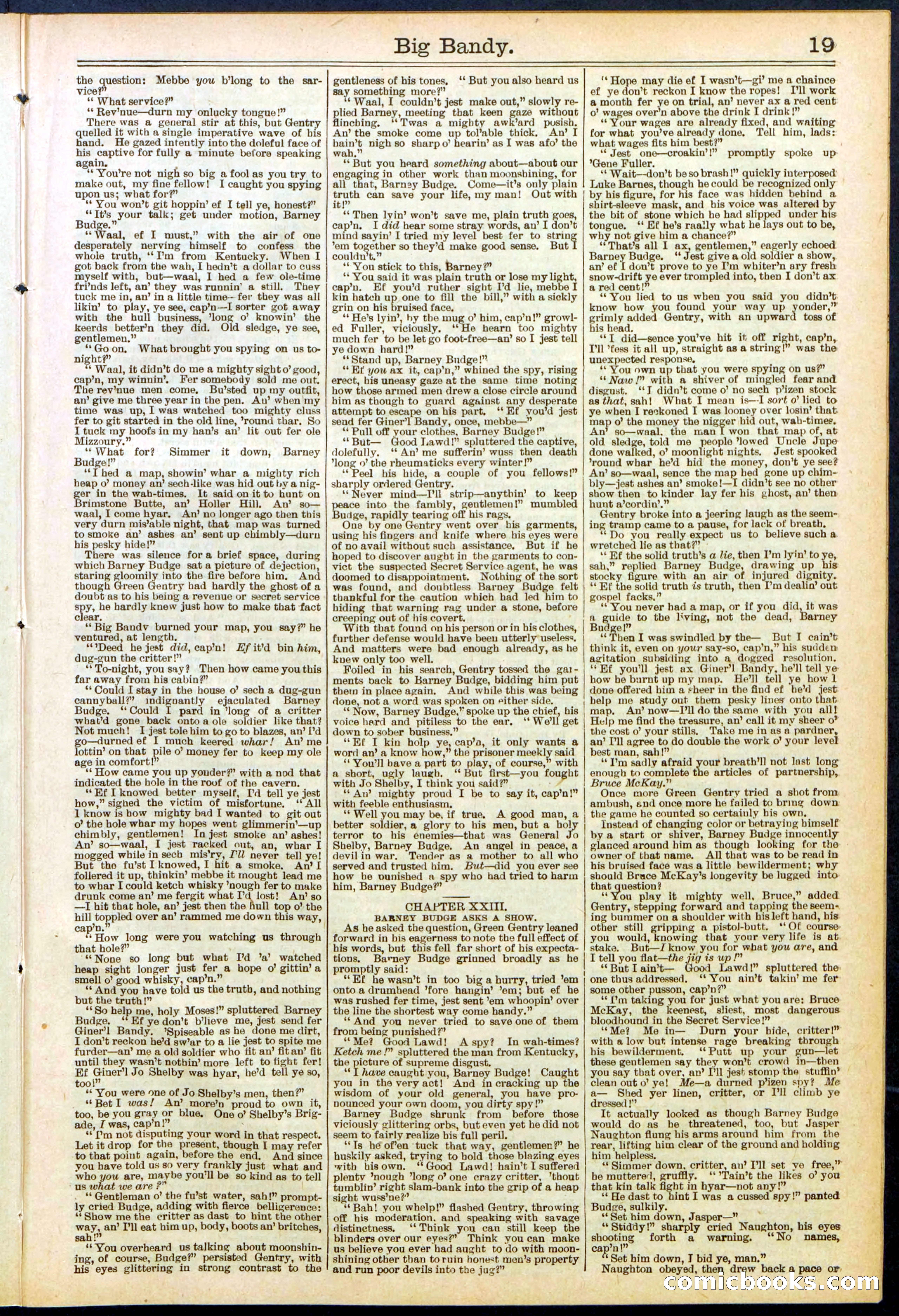 Beadle's Dime Library No. 597 — page 19 of 32