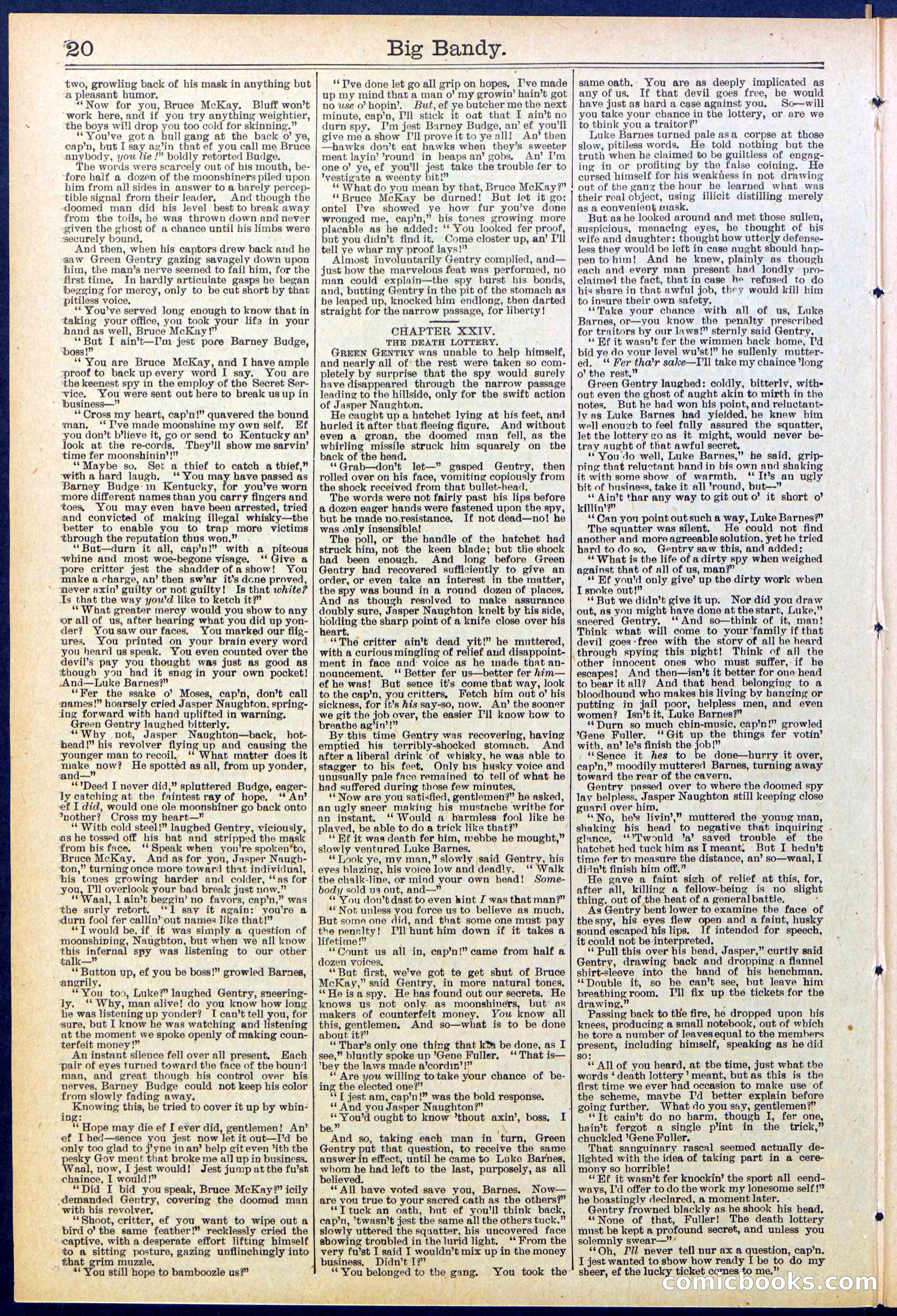 Beadle's Dime Library No. 597 — page 20 of 32