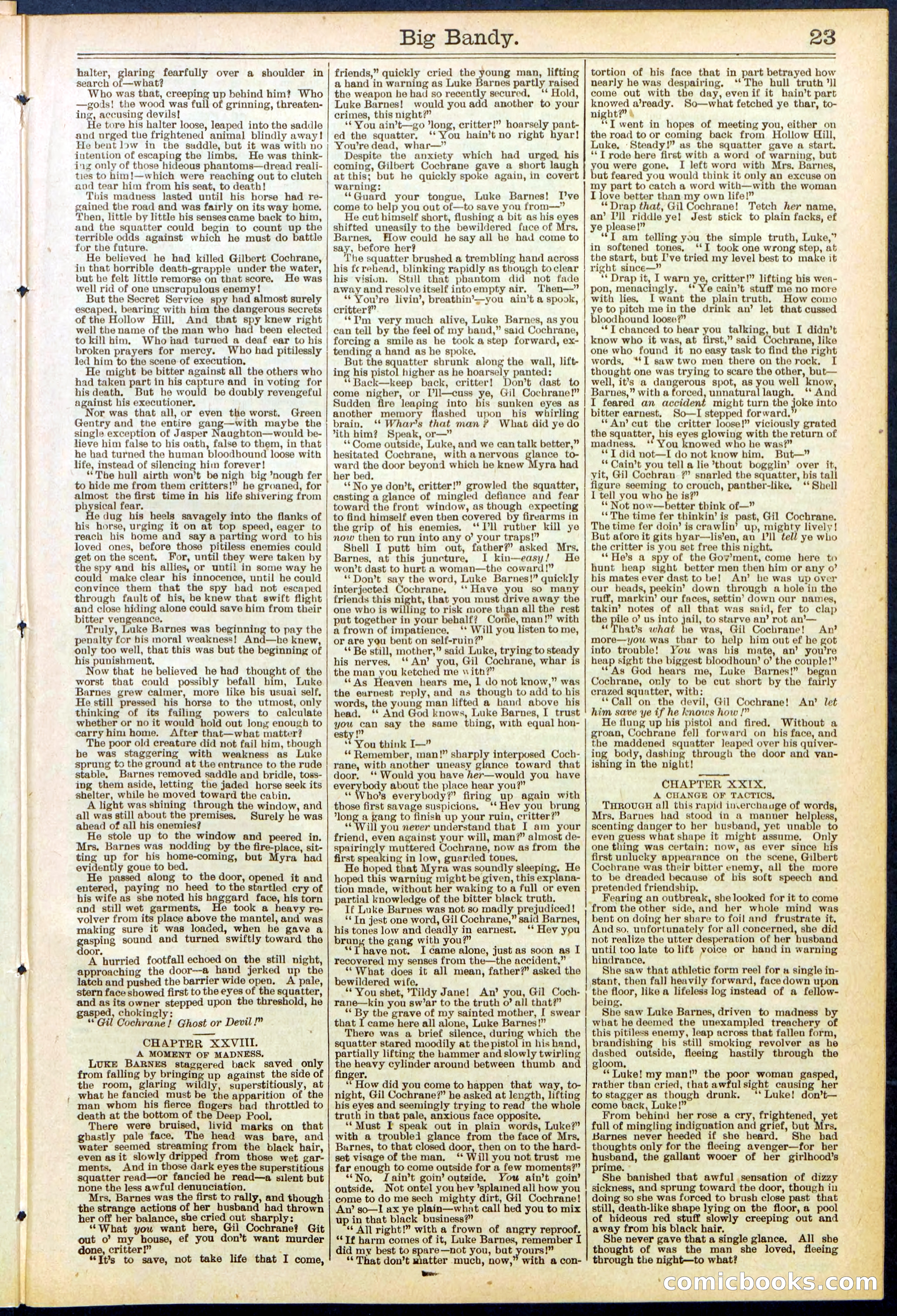 Beadle's Dime Library No. 597 — page 23 of 32