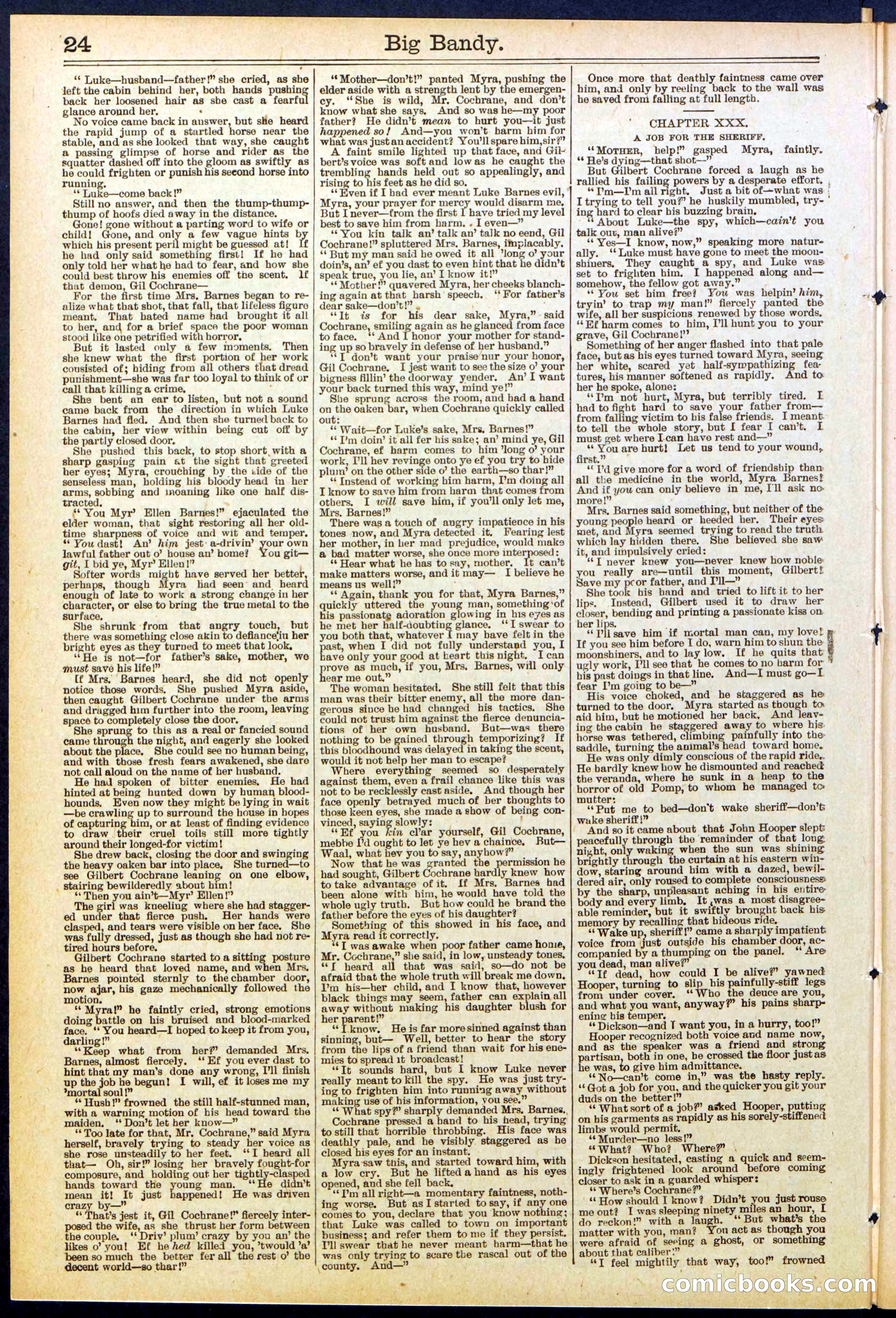 Beadle's Dime Library No. 597 — page 24 of 32