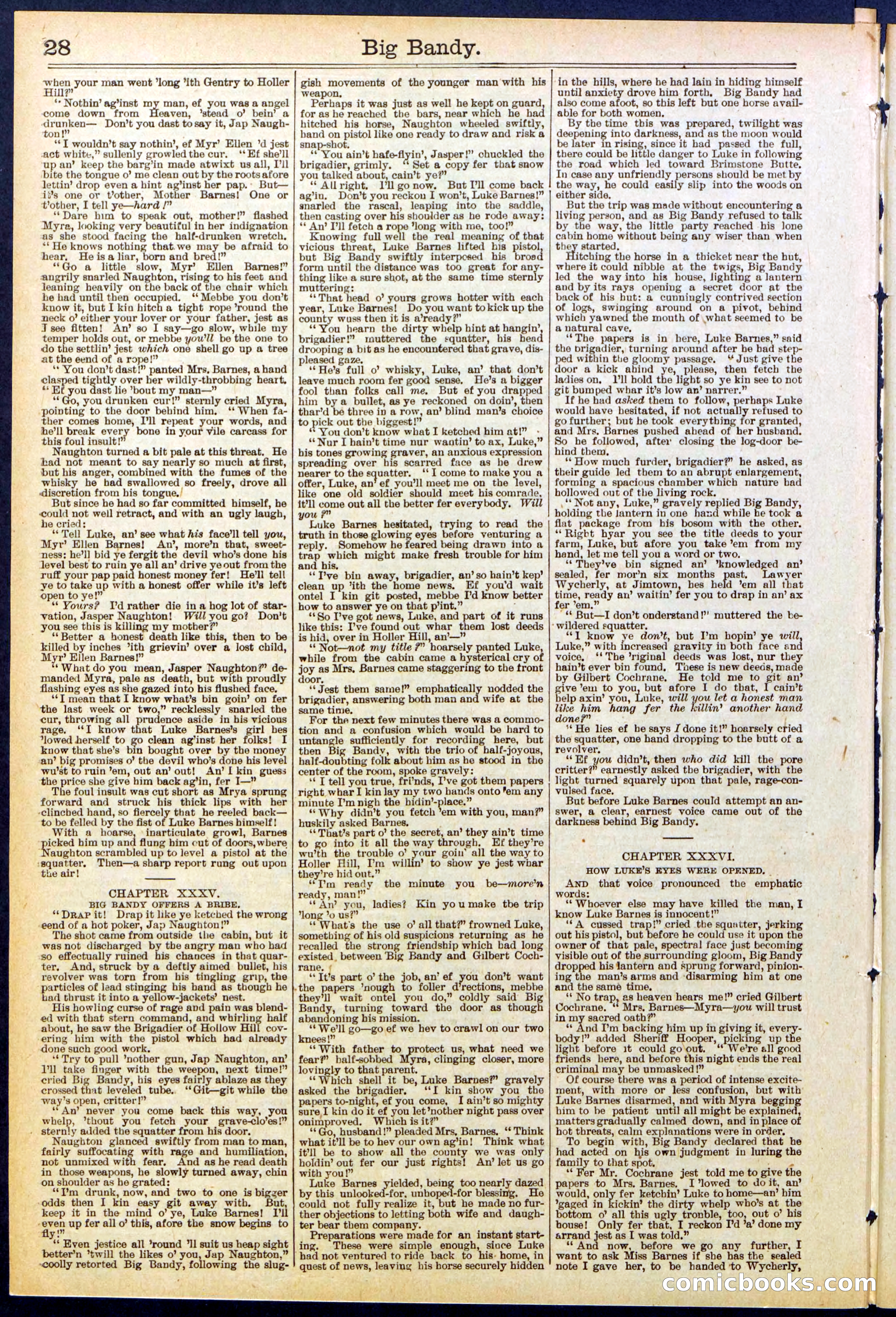 Beadle's Dime Library No. 597 — page 28 of 32