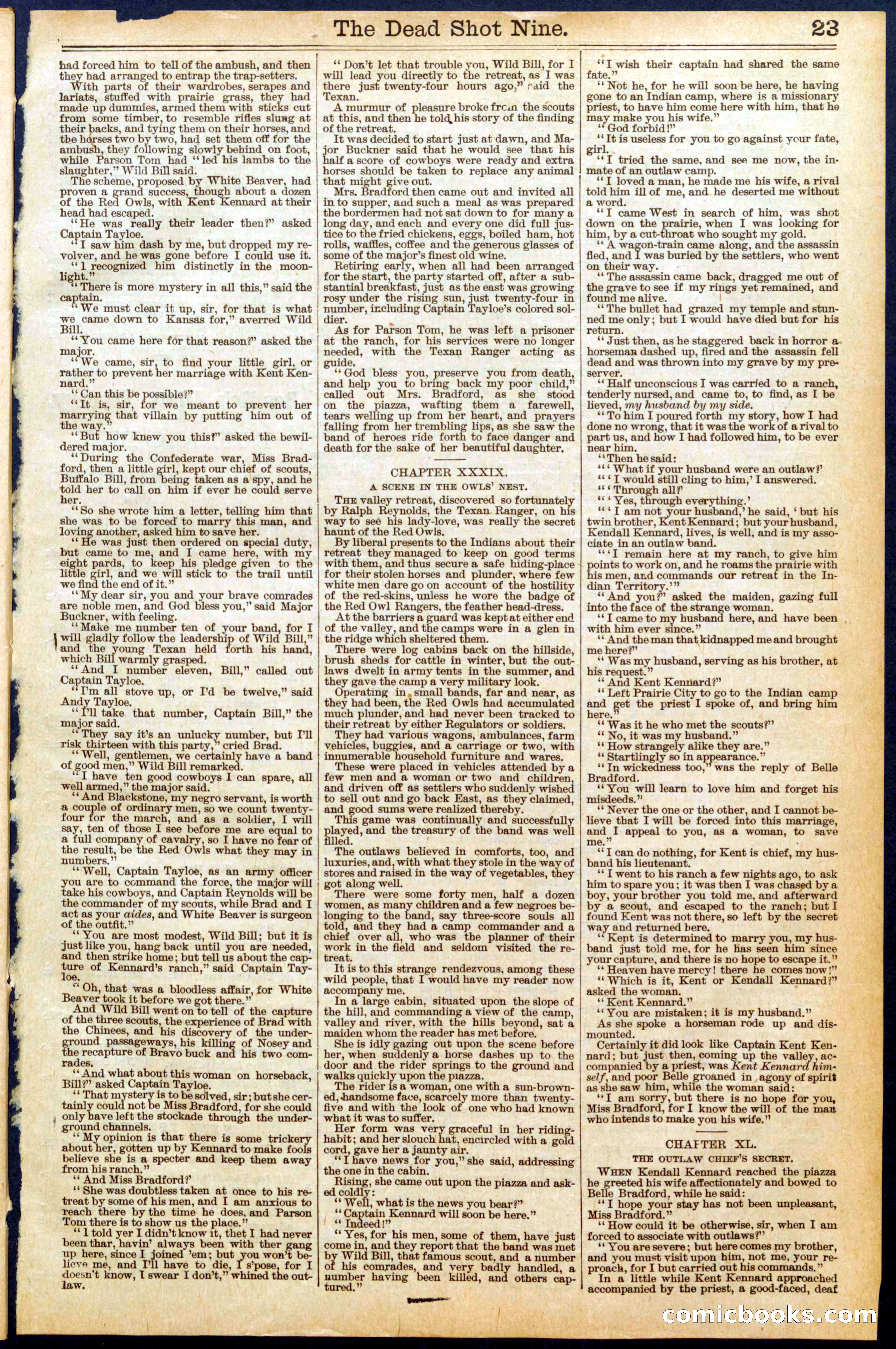 Beadle's New York Dime Library, No. 599 — page 31 of 32