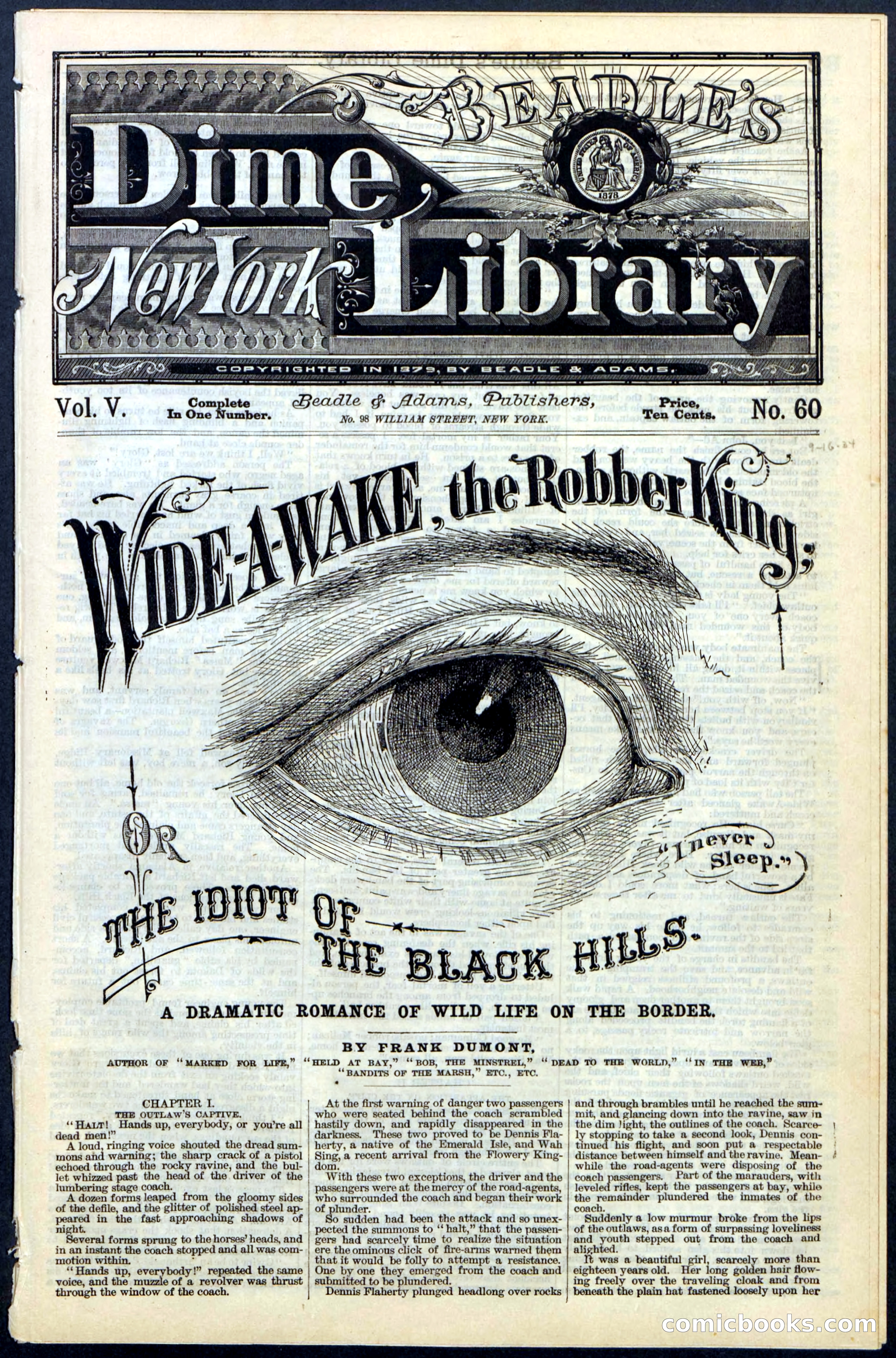 Beadle's New York Dime Library, No. 60 — page 1 of 24