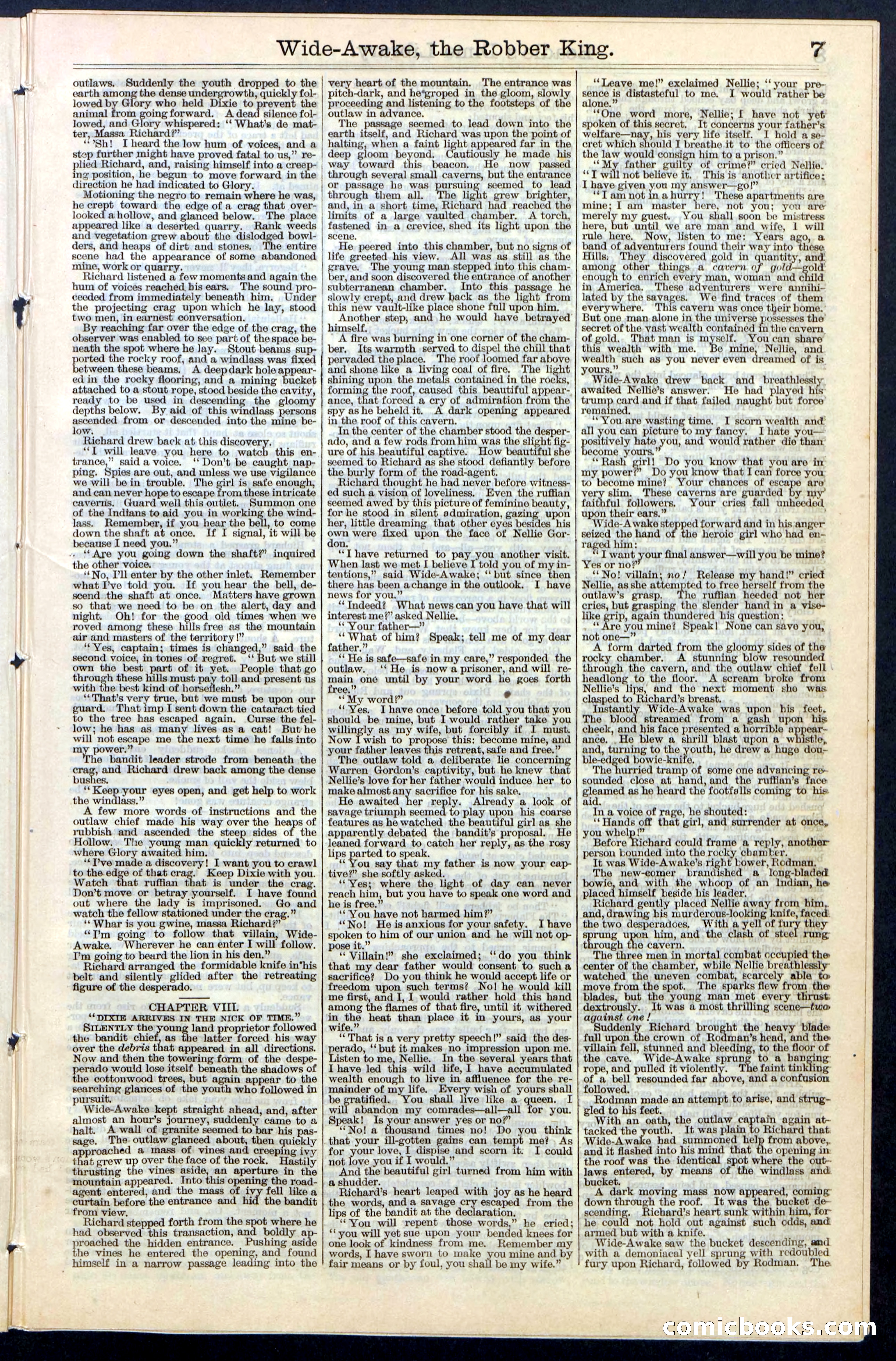 Beadle's New York Dime Library, No. 60 — page 7 of 24