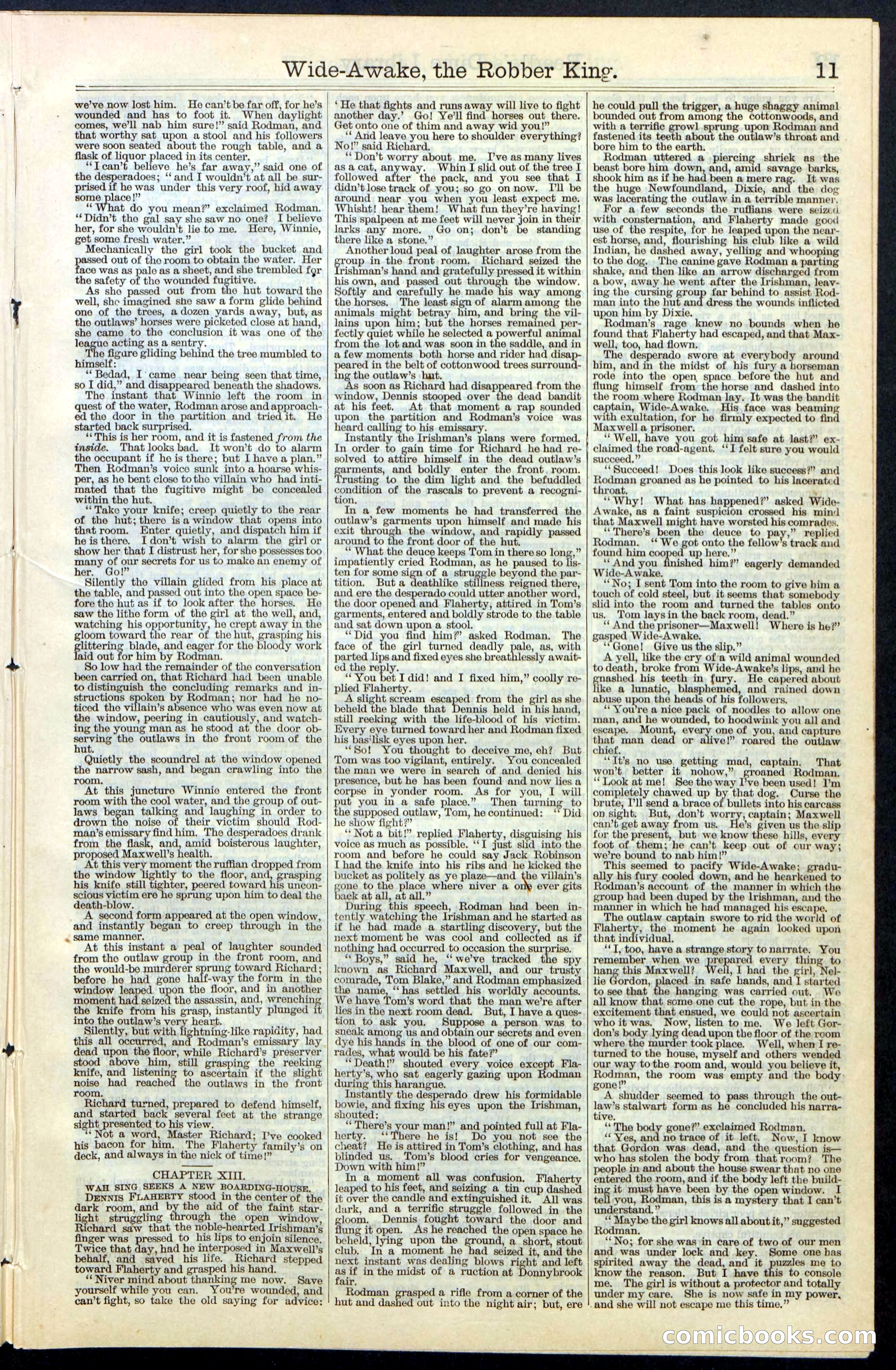 Beadle's New York Dime Library, No. 60 — page 11 of 24
