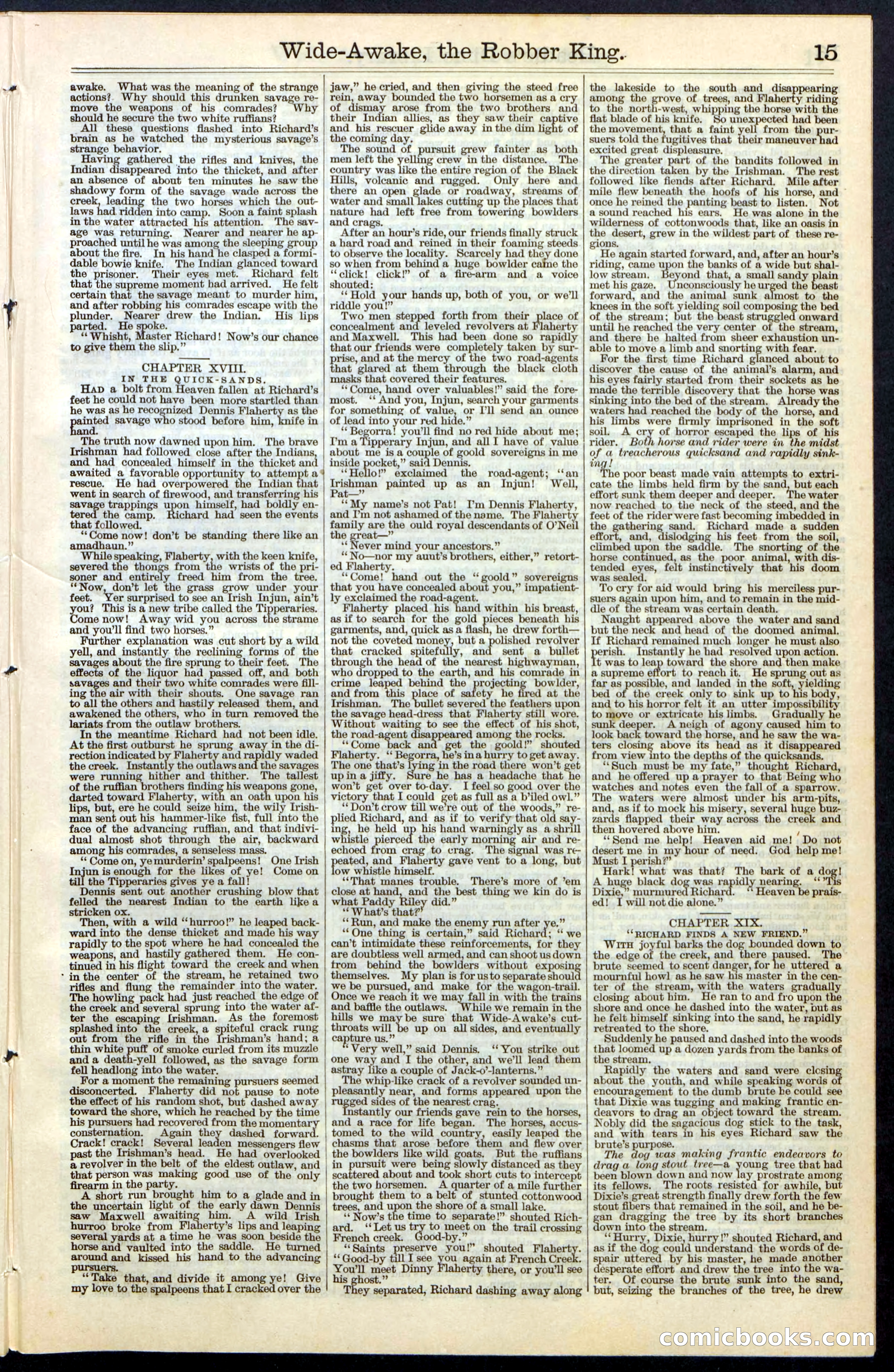 Beadle's New York Dime Library, No. 60 — page 15 of 24
