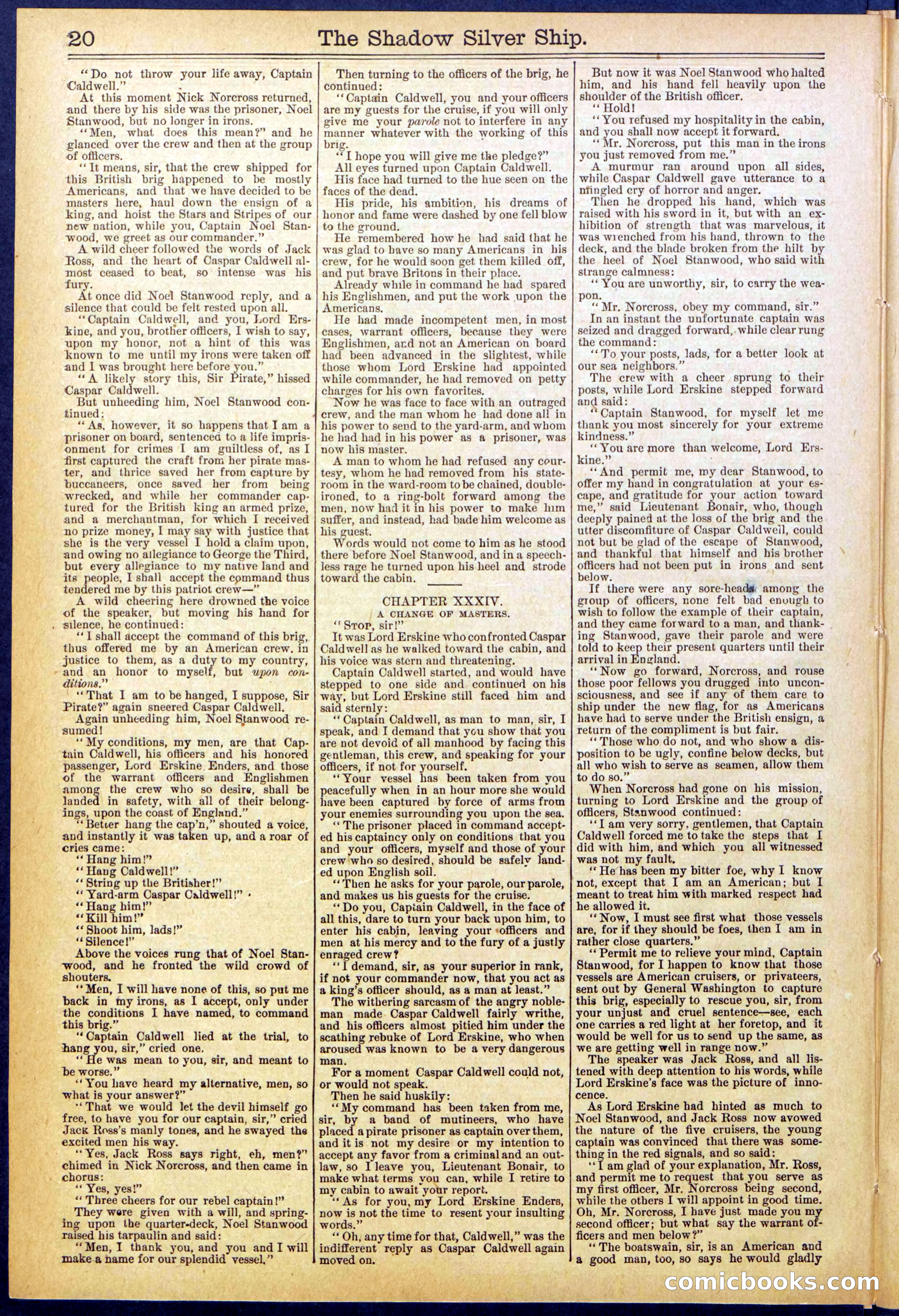 Beadle's New York Dime Library, No. 605 — page 20 of 32