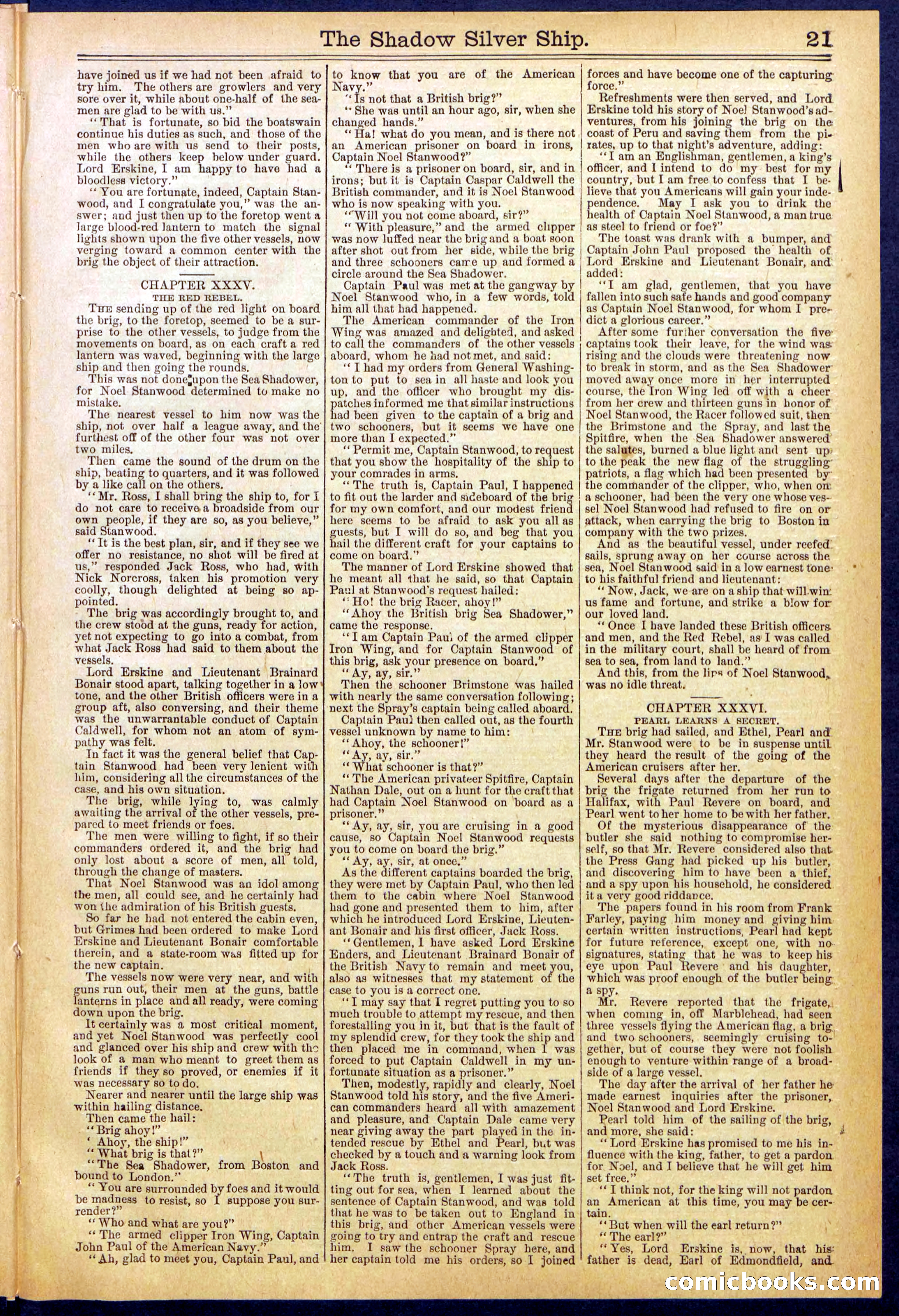 Beadle's New York Dime Library, No. 605 — page 21 of 32