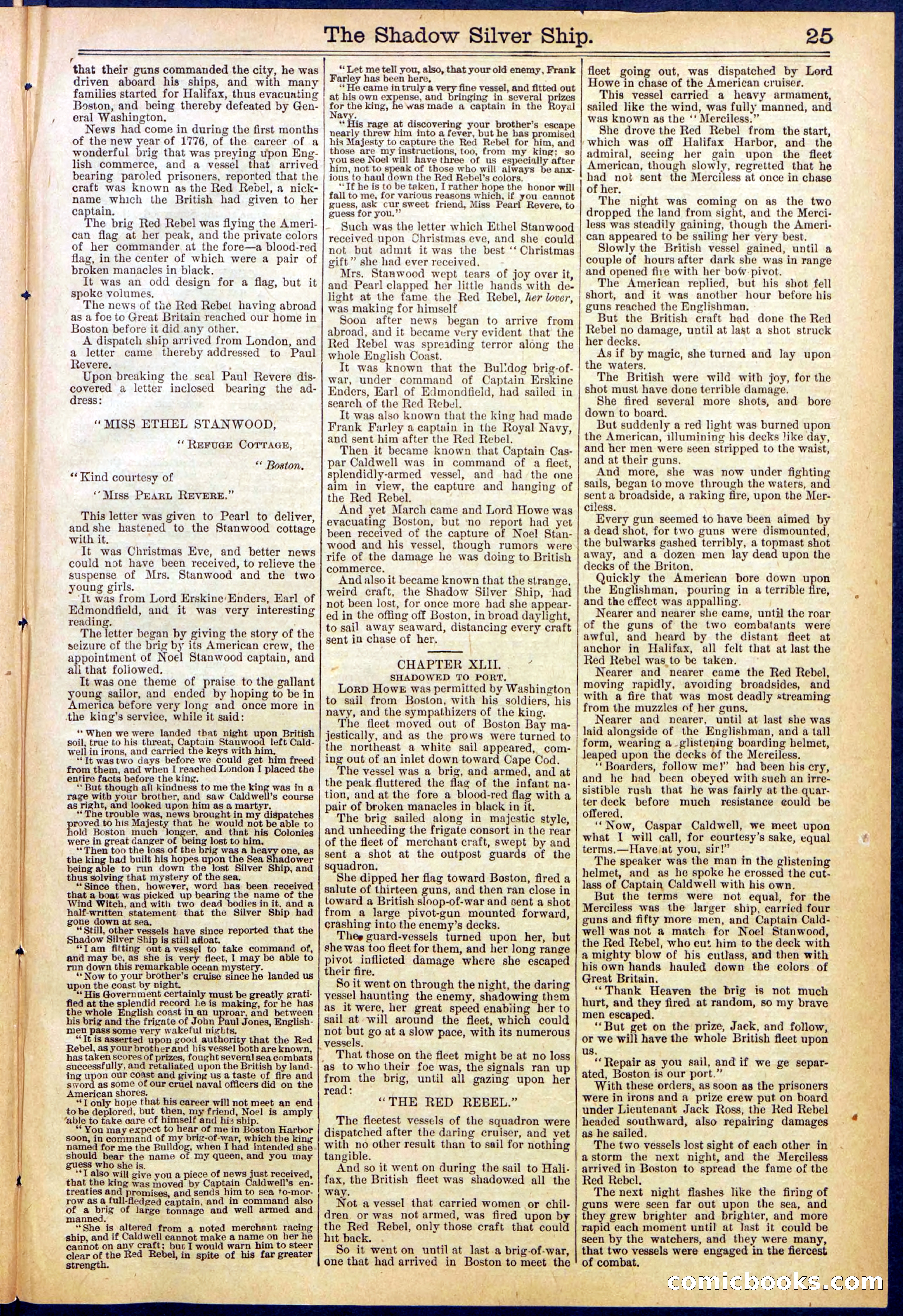 Beadle's New York Dime Library, No. 605 — page 25 of 32