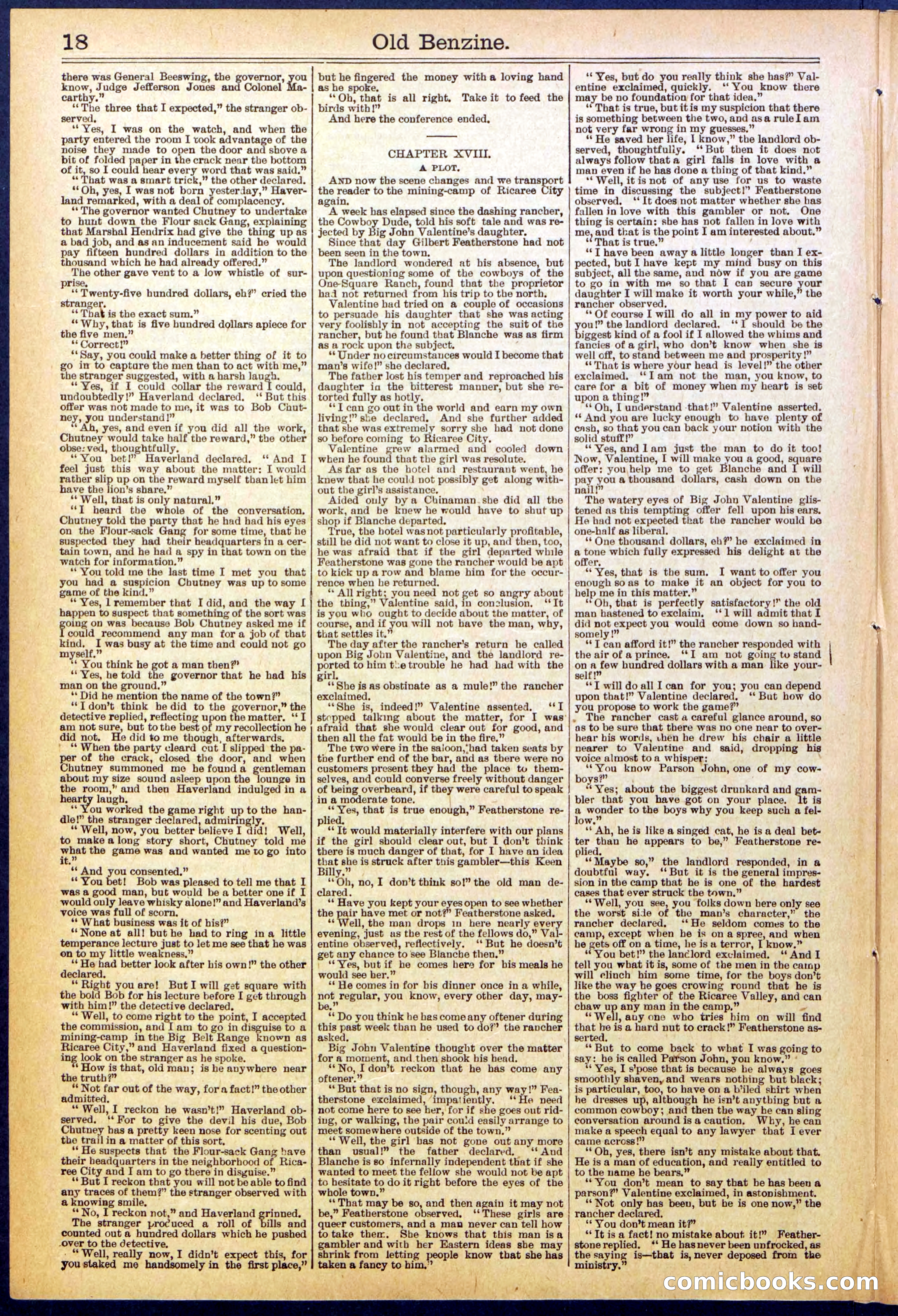 Beadle's New York Dime Library, No. 607 — page 18 of 32