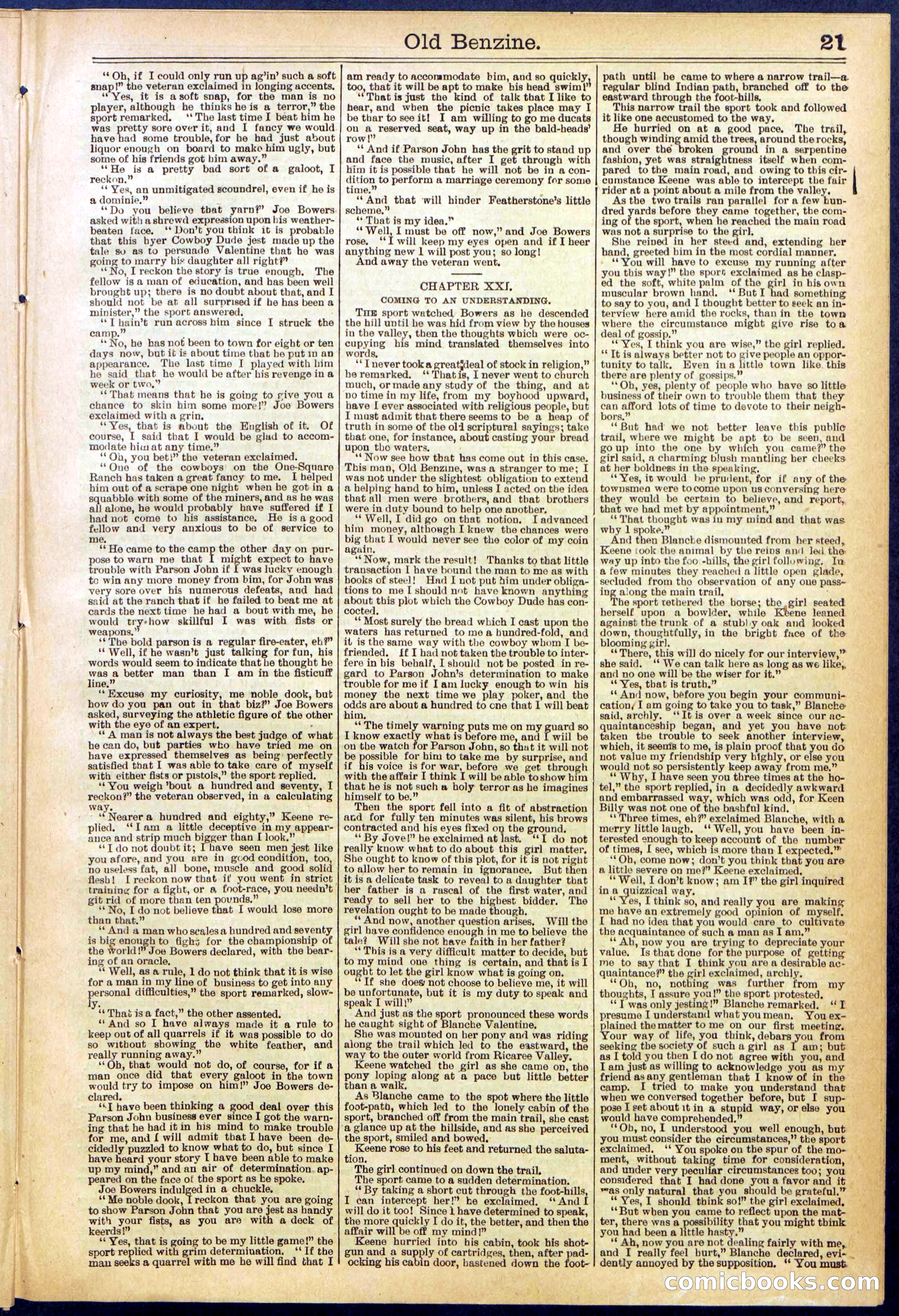 Beadle's New York Dime Library, No. 607 — page 21 of 32