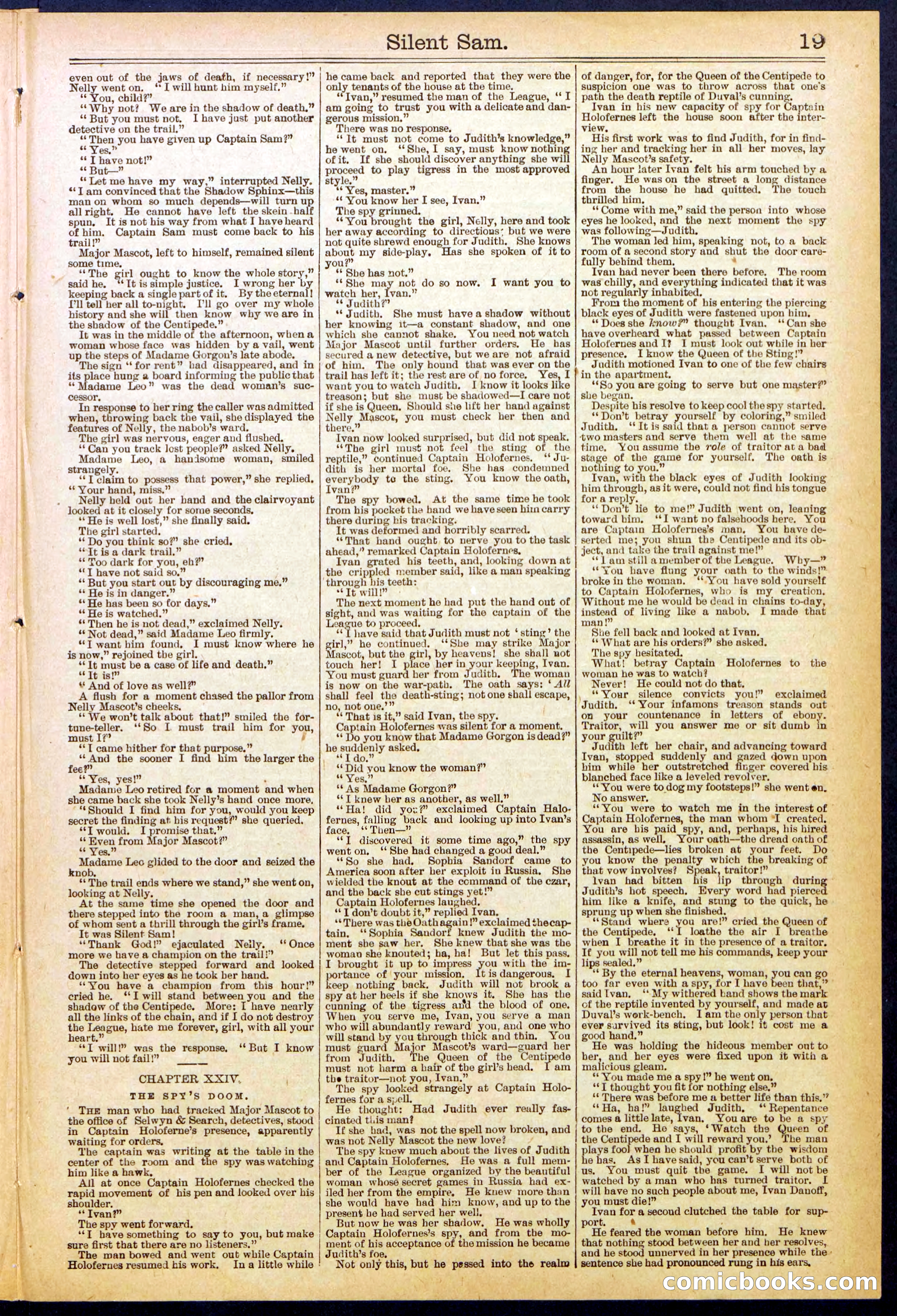 Beadle's New York Dime Library No. 608 — page 19 of 32