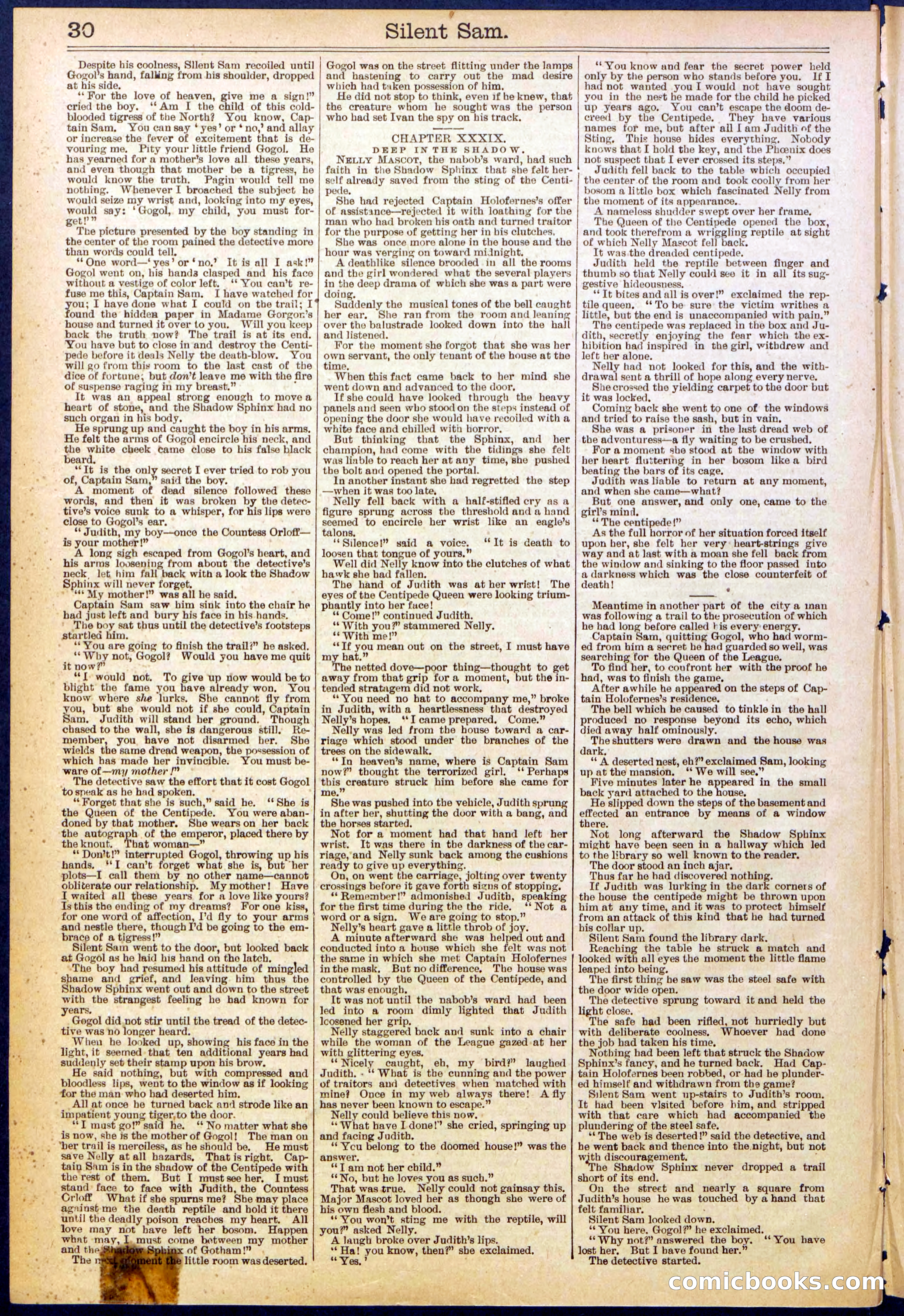 Beadle's New York Dime Library No. 608 — page 30 of 32