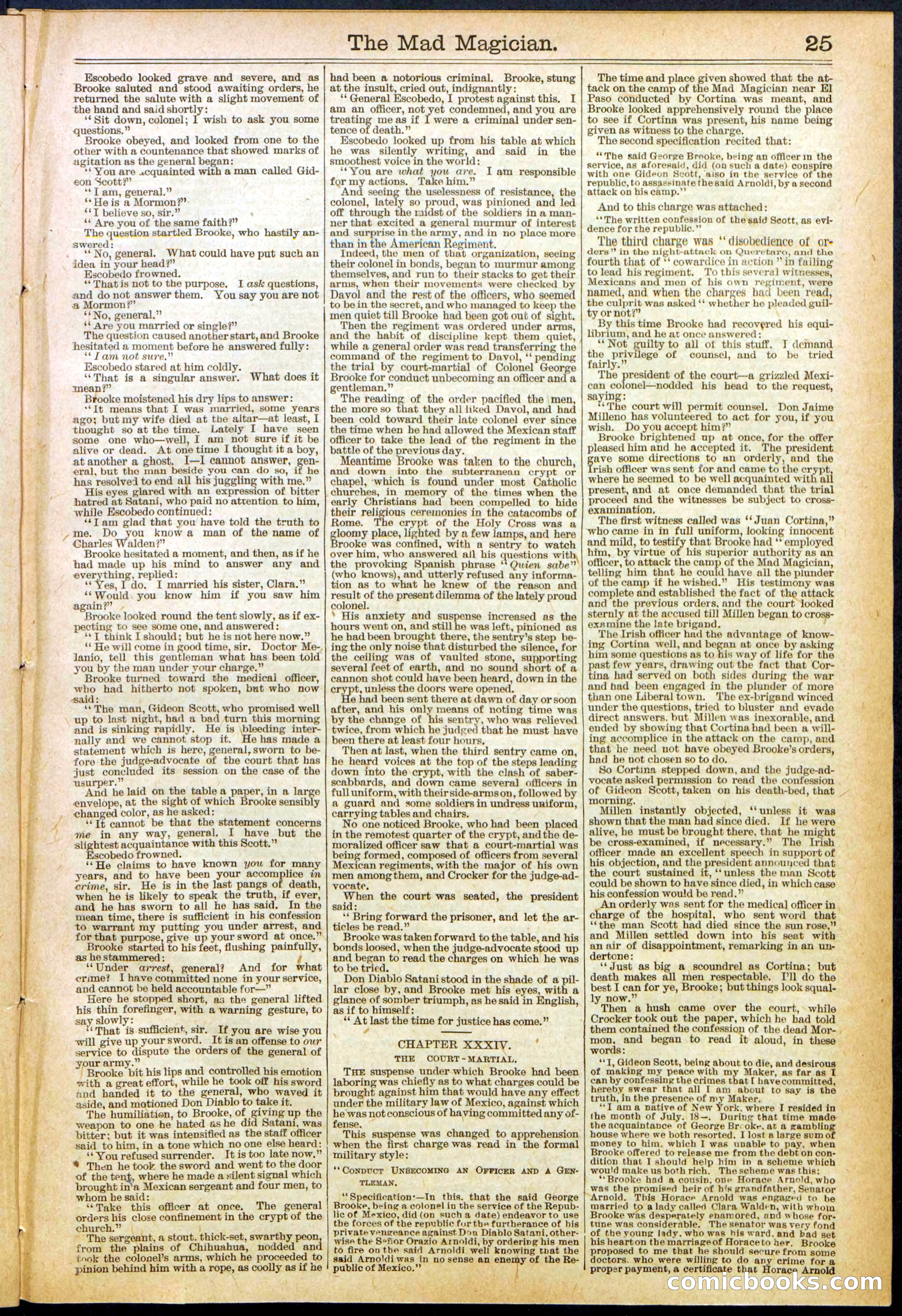 Beadle's New York Dime Library No. 614 — page 25 of 32