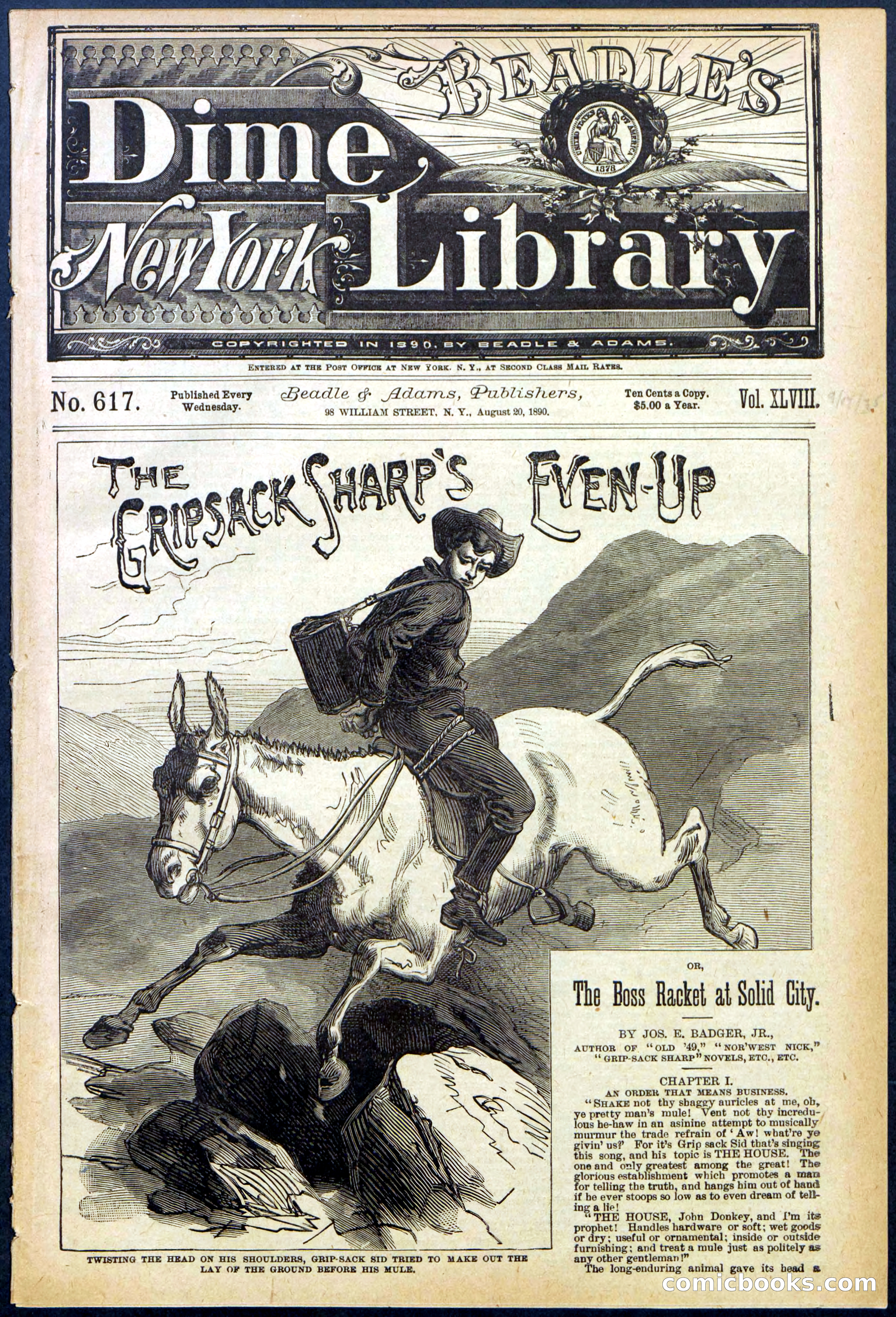 Beadle's New York Dime Library No. 617 — page 1 of 32