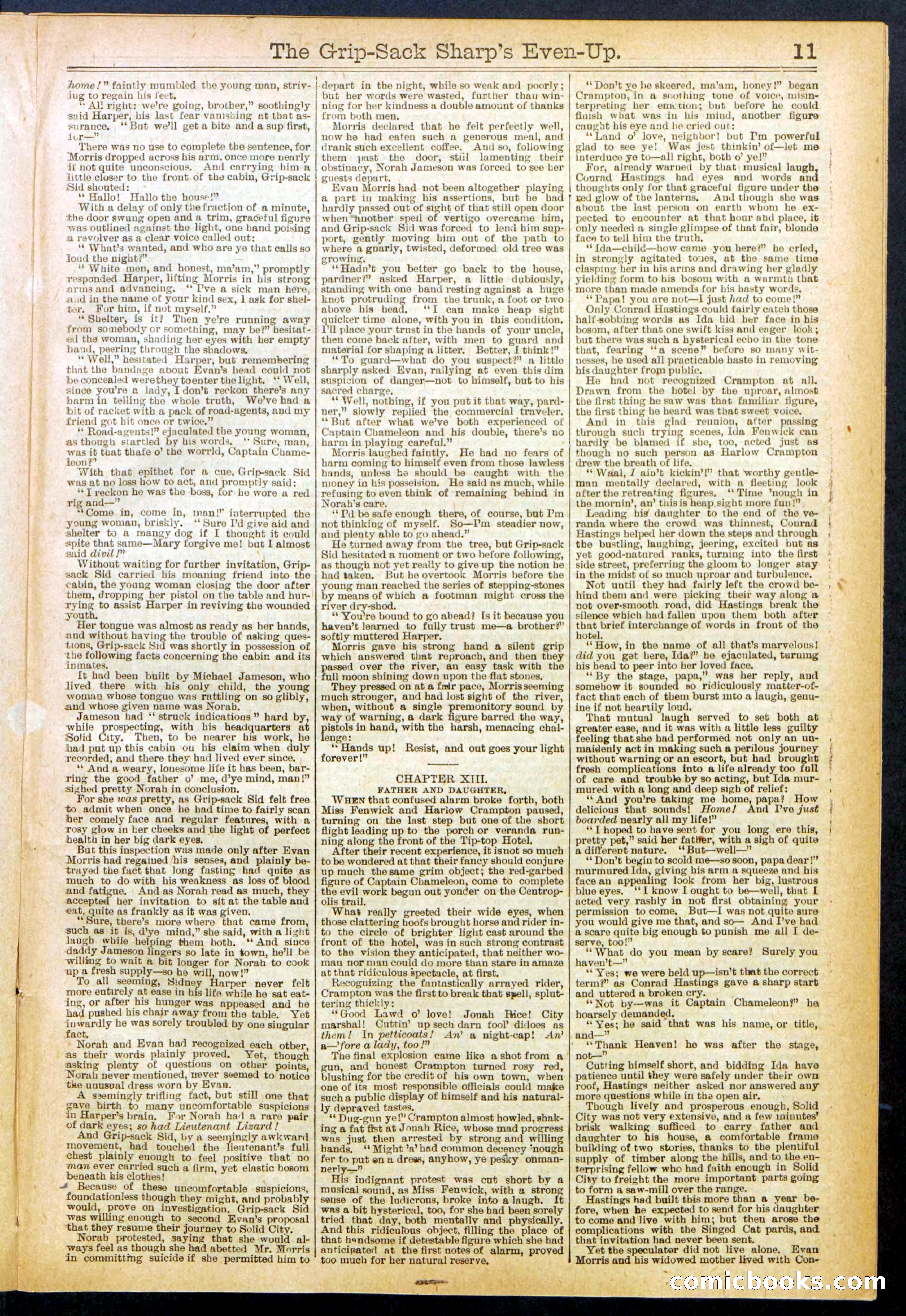 Beadle's New York Dime Library No. 617 — page 11 of 32