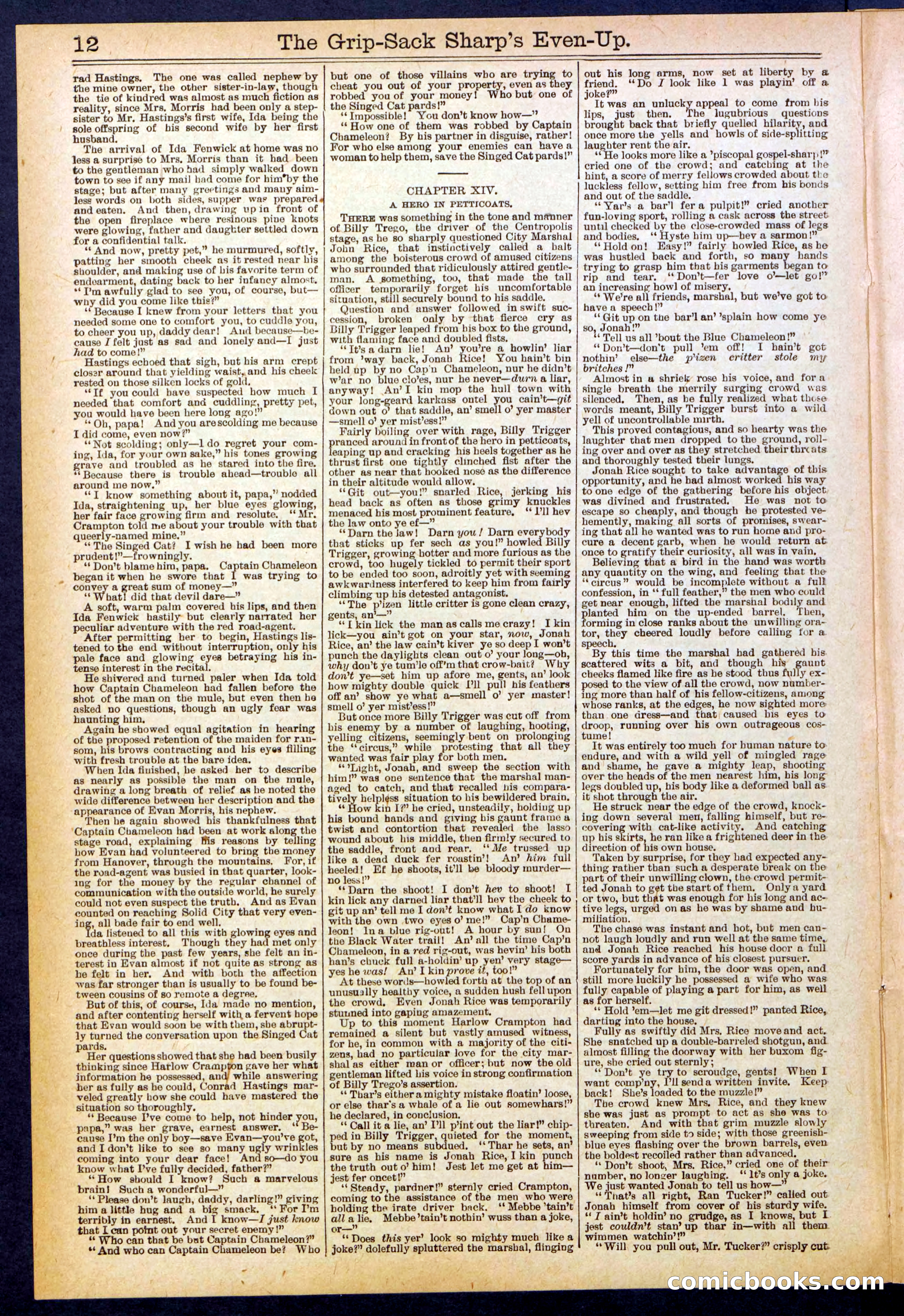 Beadle's New York Dime Library No. 617 — page 12 of 32