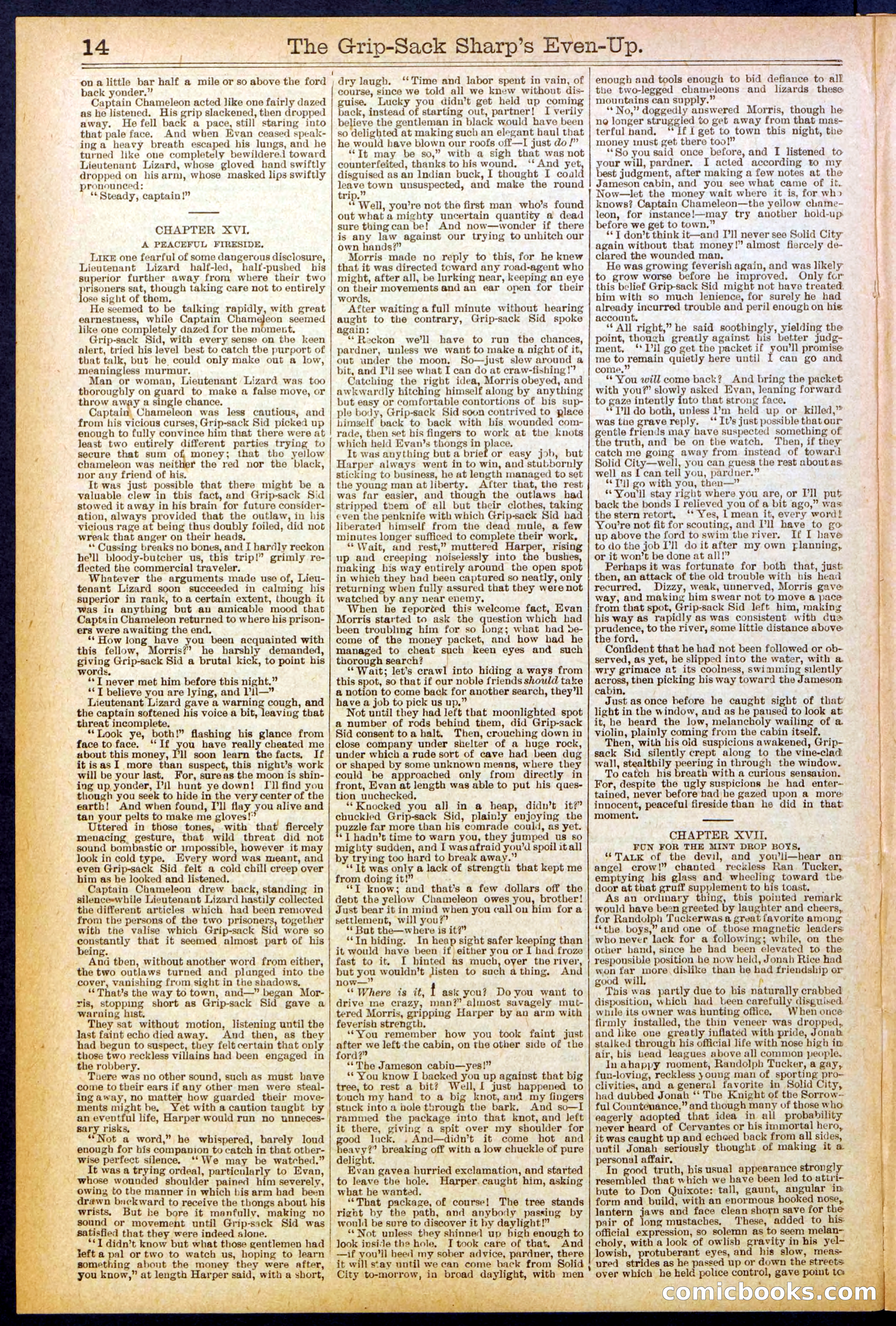 Beadle's New York Dime Library No. 617 — page 14 of 32