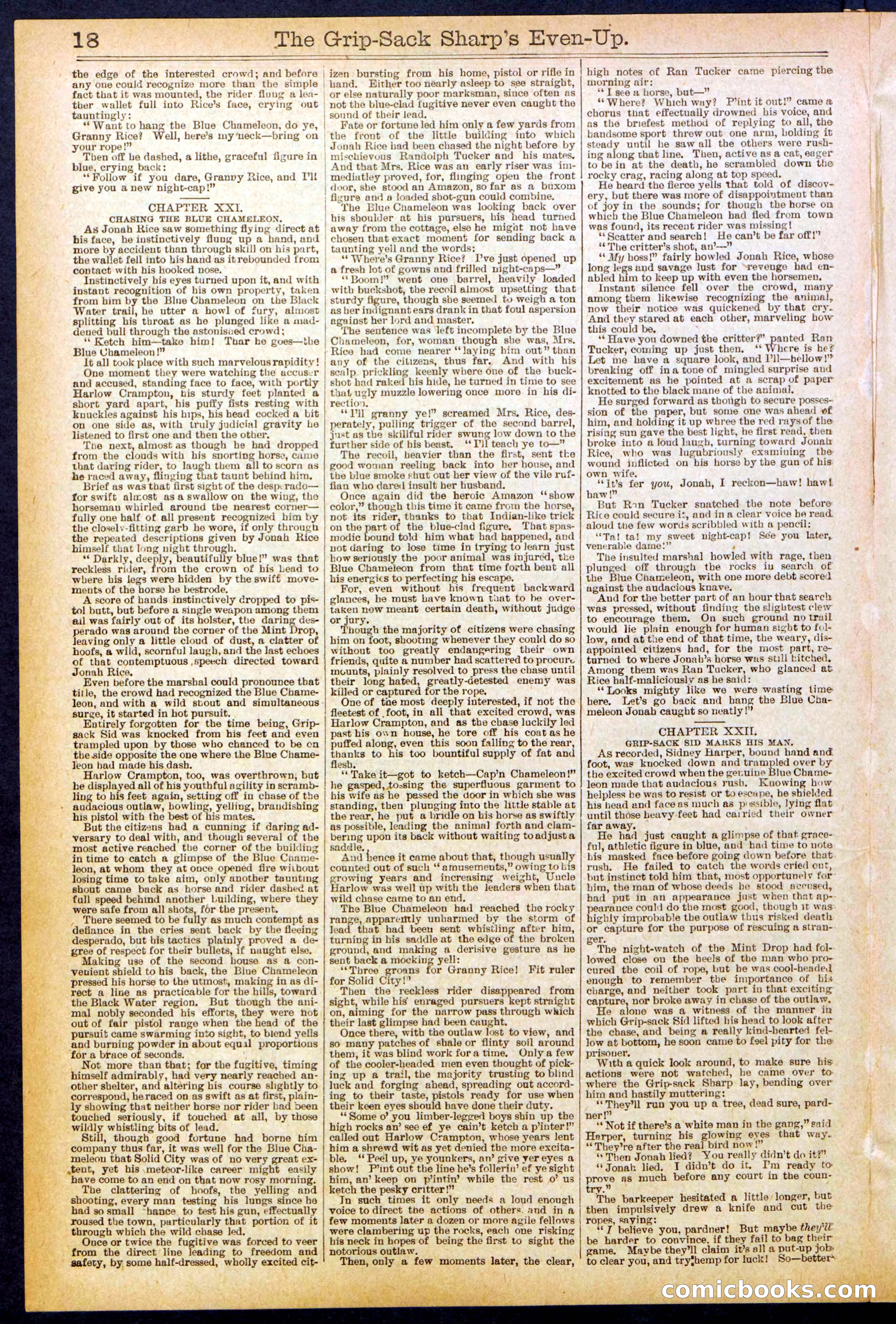 Beadle's New York Dime Library No. 617 — page 18 of 32
