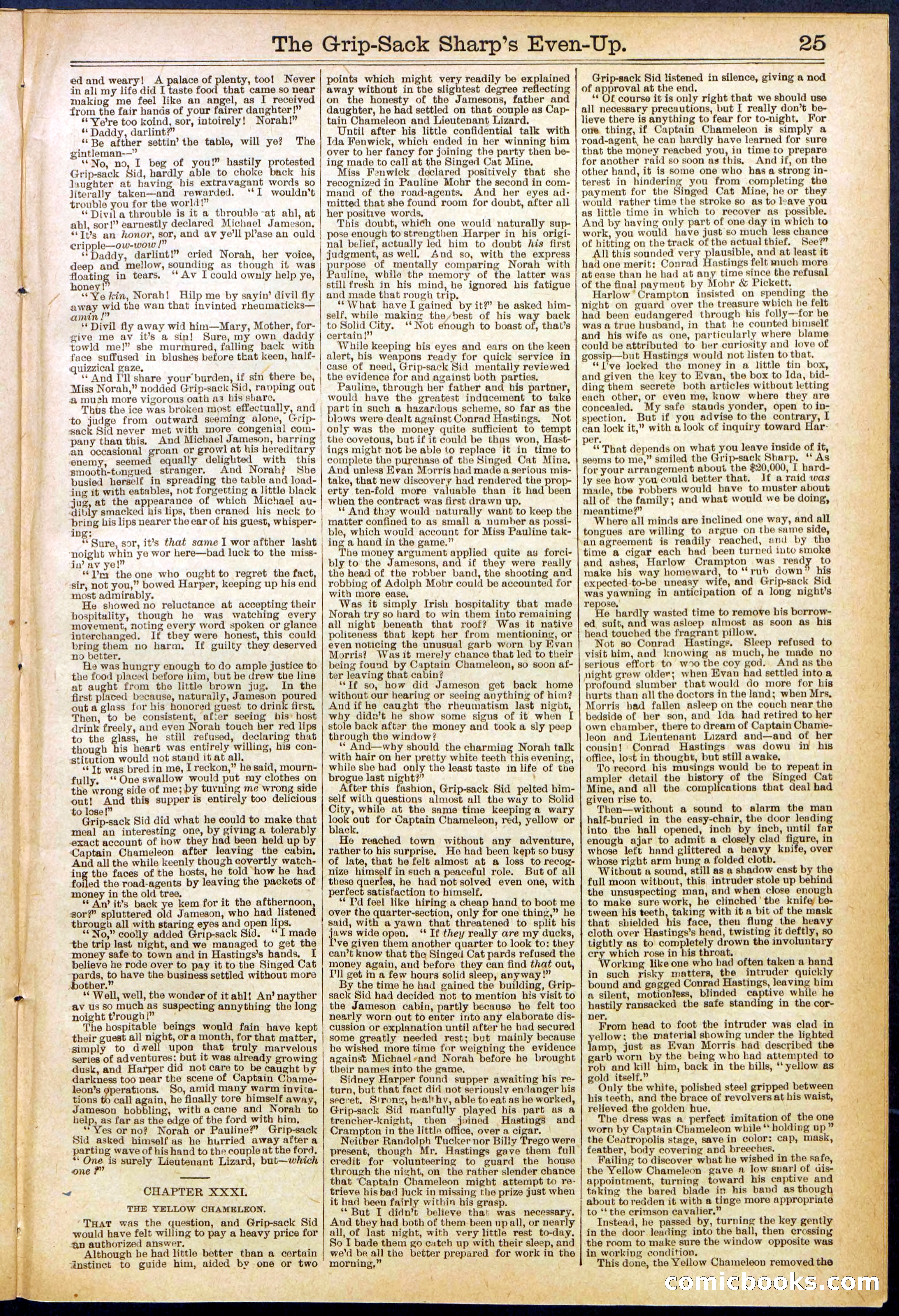 Beadle's New York Dime Library No. 617 — page 25 of 32