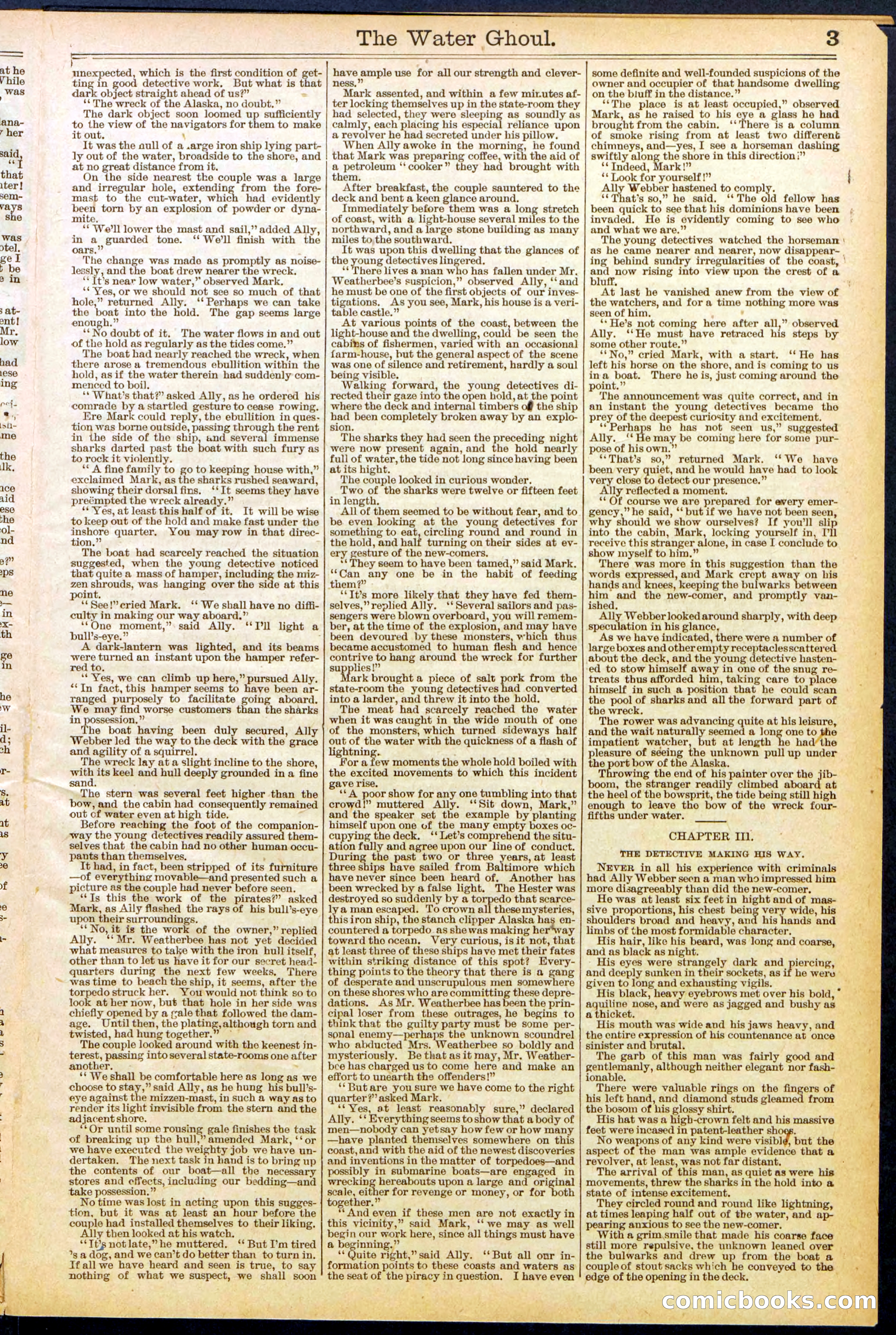 Beadle's New York Dime Library No. 624 — page 3 of 32