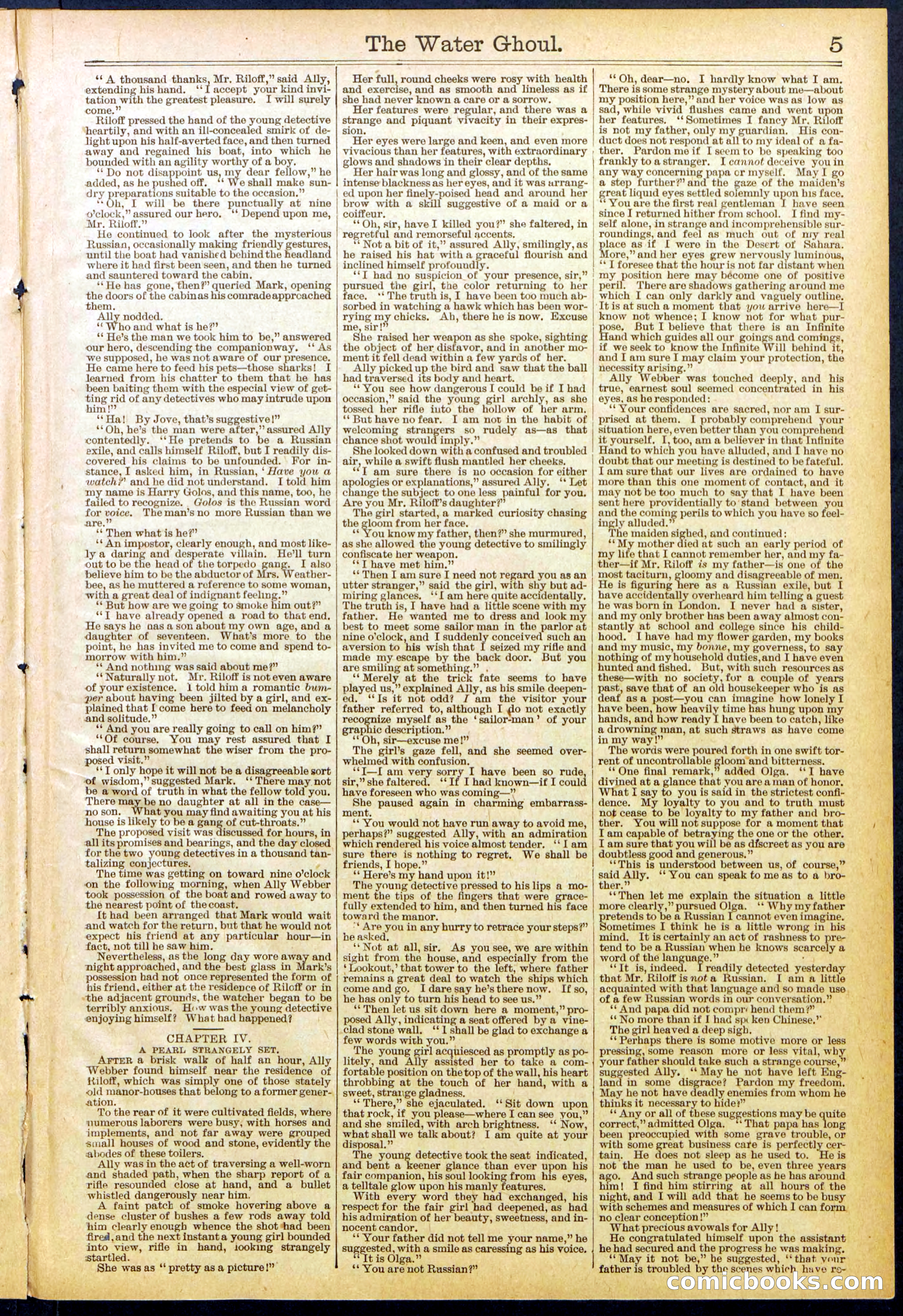 Beadle's New York Dime Library No. 624 — page 5 of 32