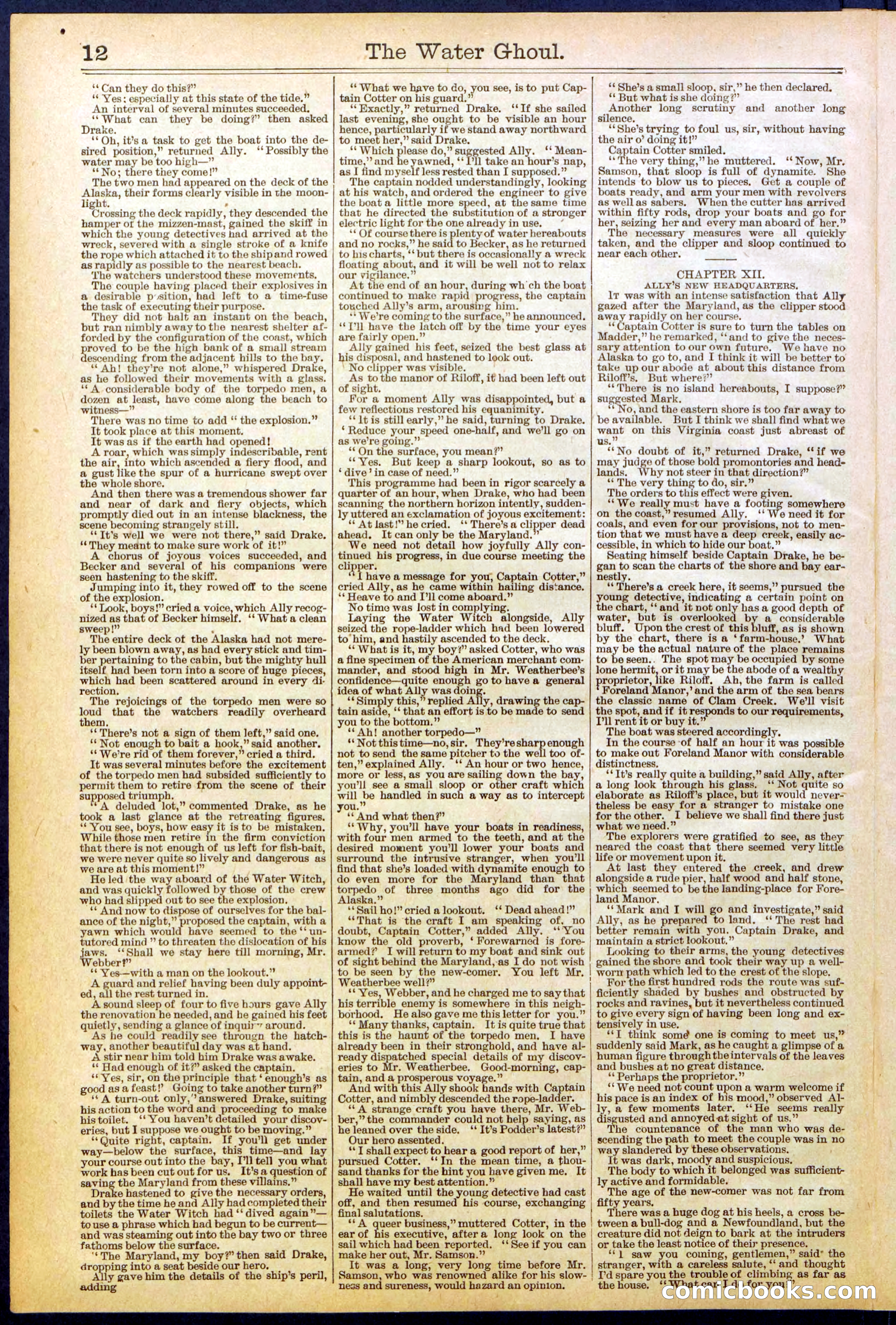 Beadle's New York Dime Library No. 624 — page 12 of 32