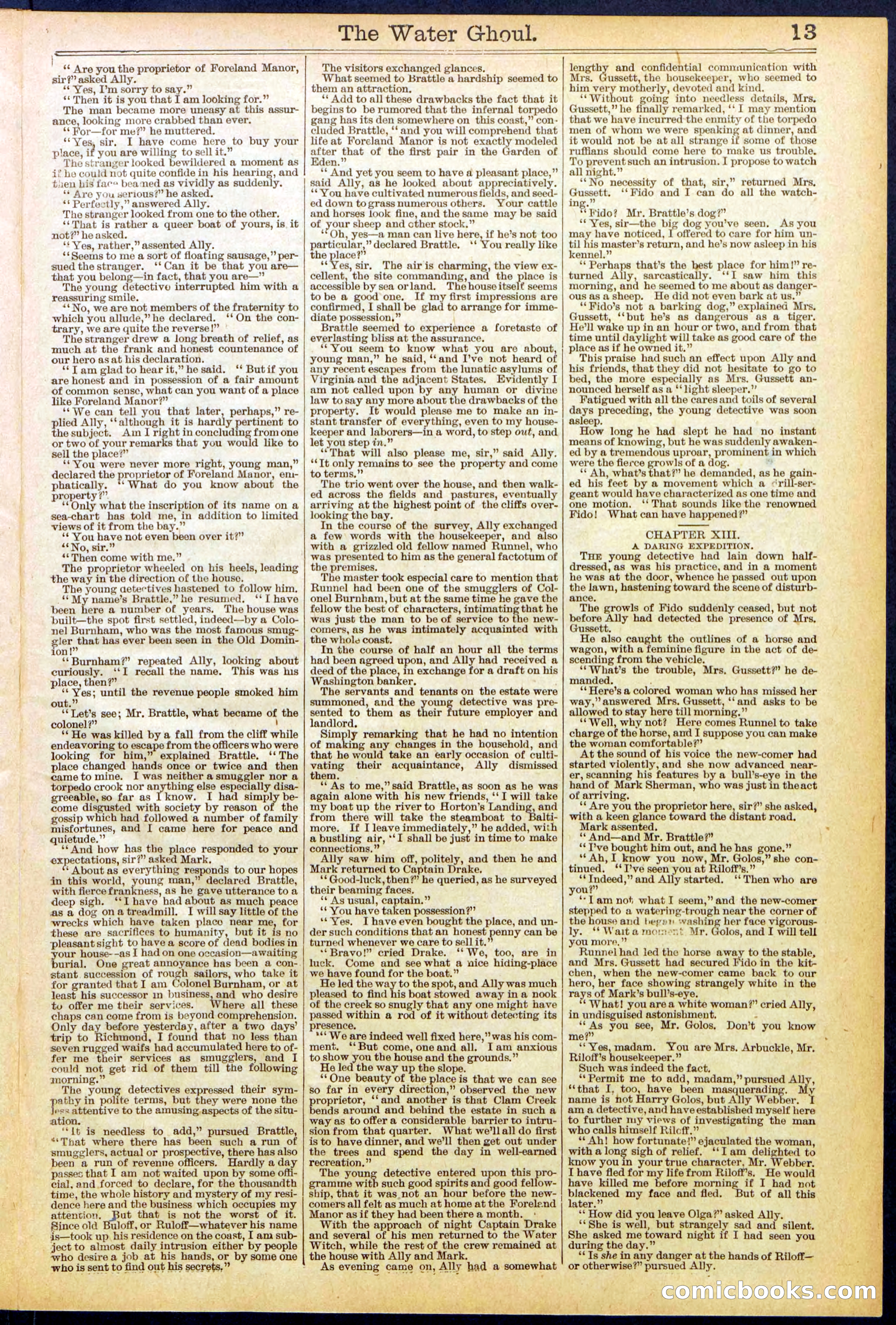 Beadle's New York Dime Library No. 624 — page 13 of 32