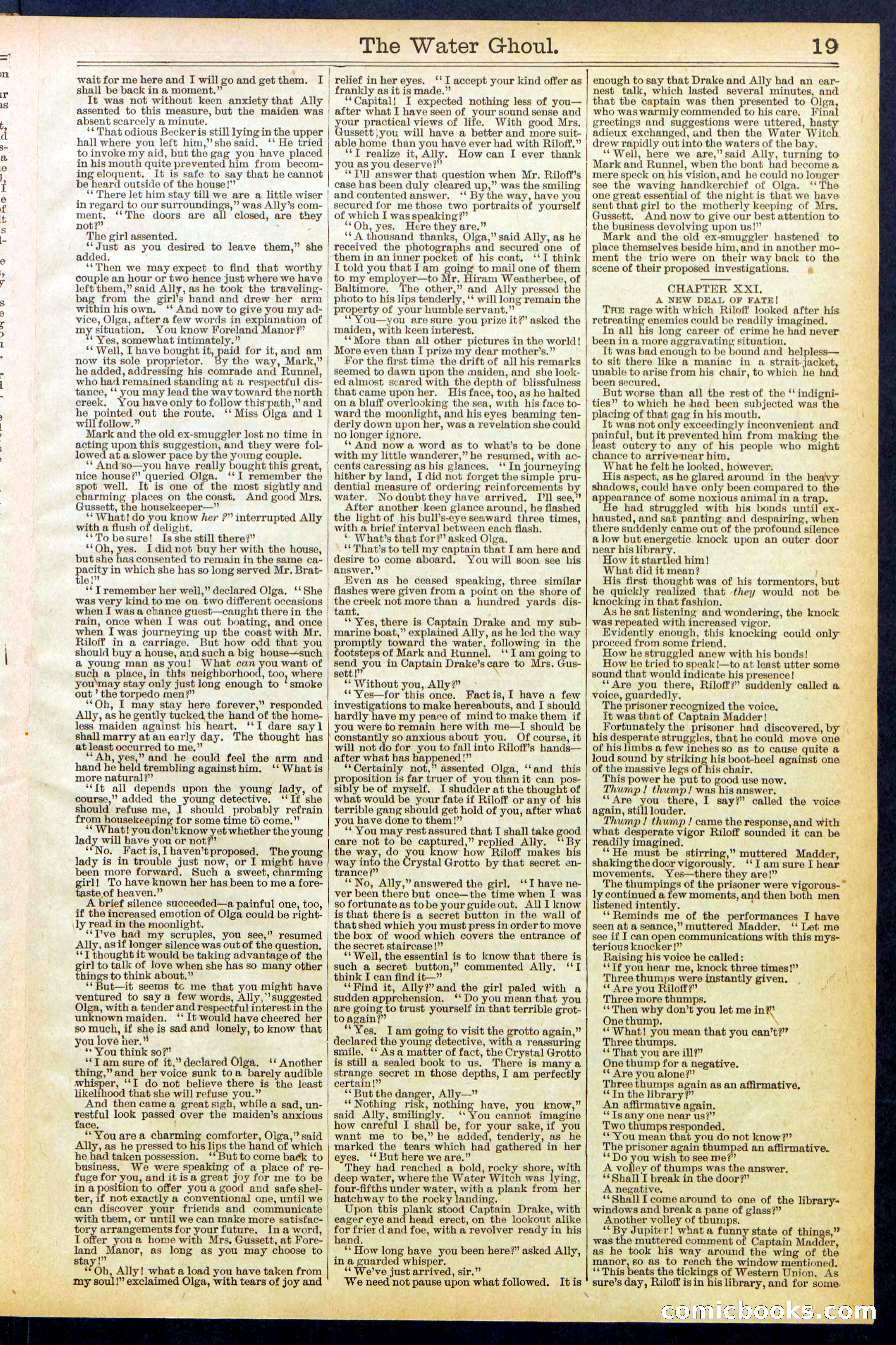 Beadle's New York Dime Library No. 624 — page 19 of 32