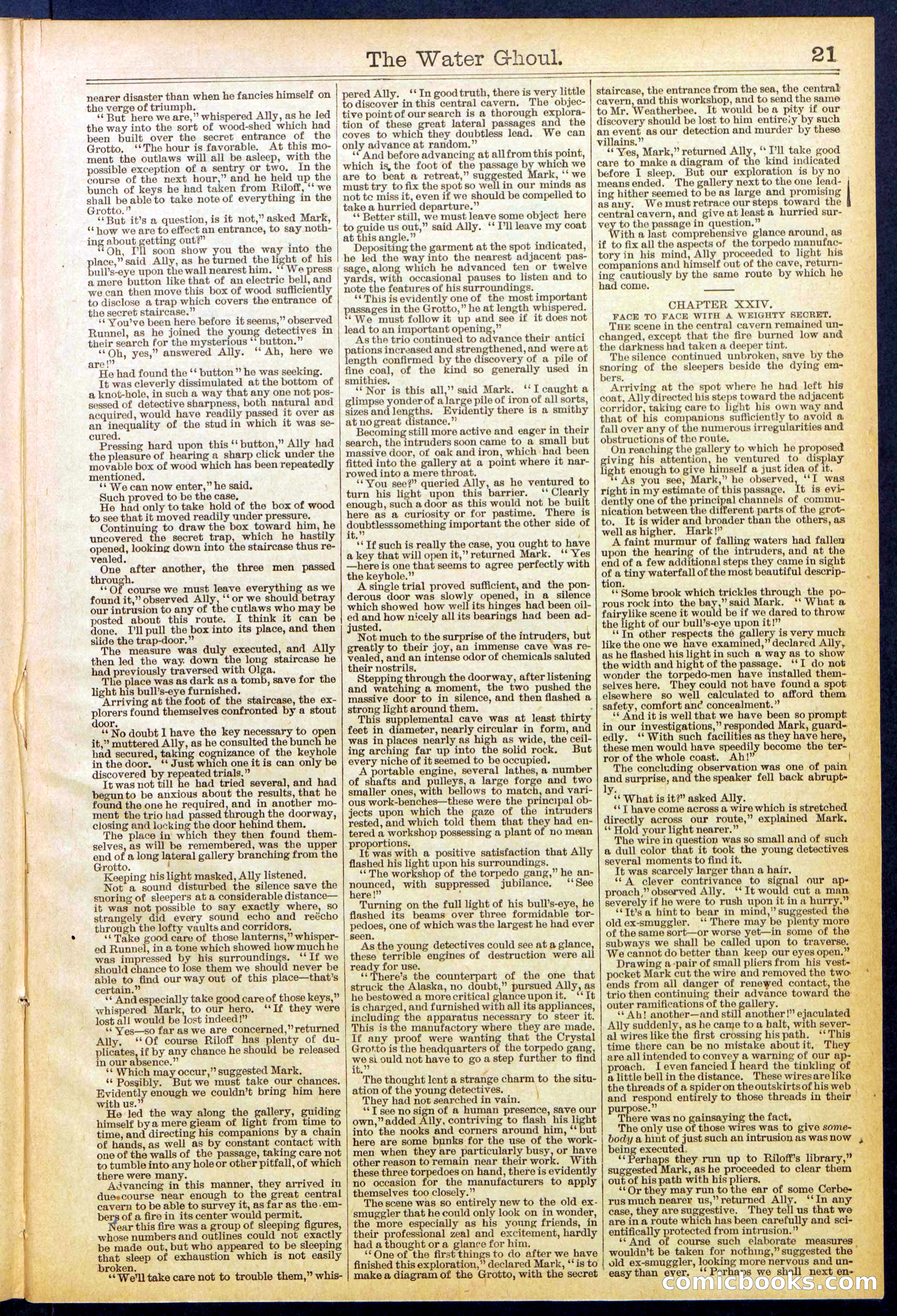 Beadle's New York Dime Library No. 624 — page 21 of 32