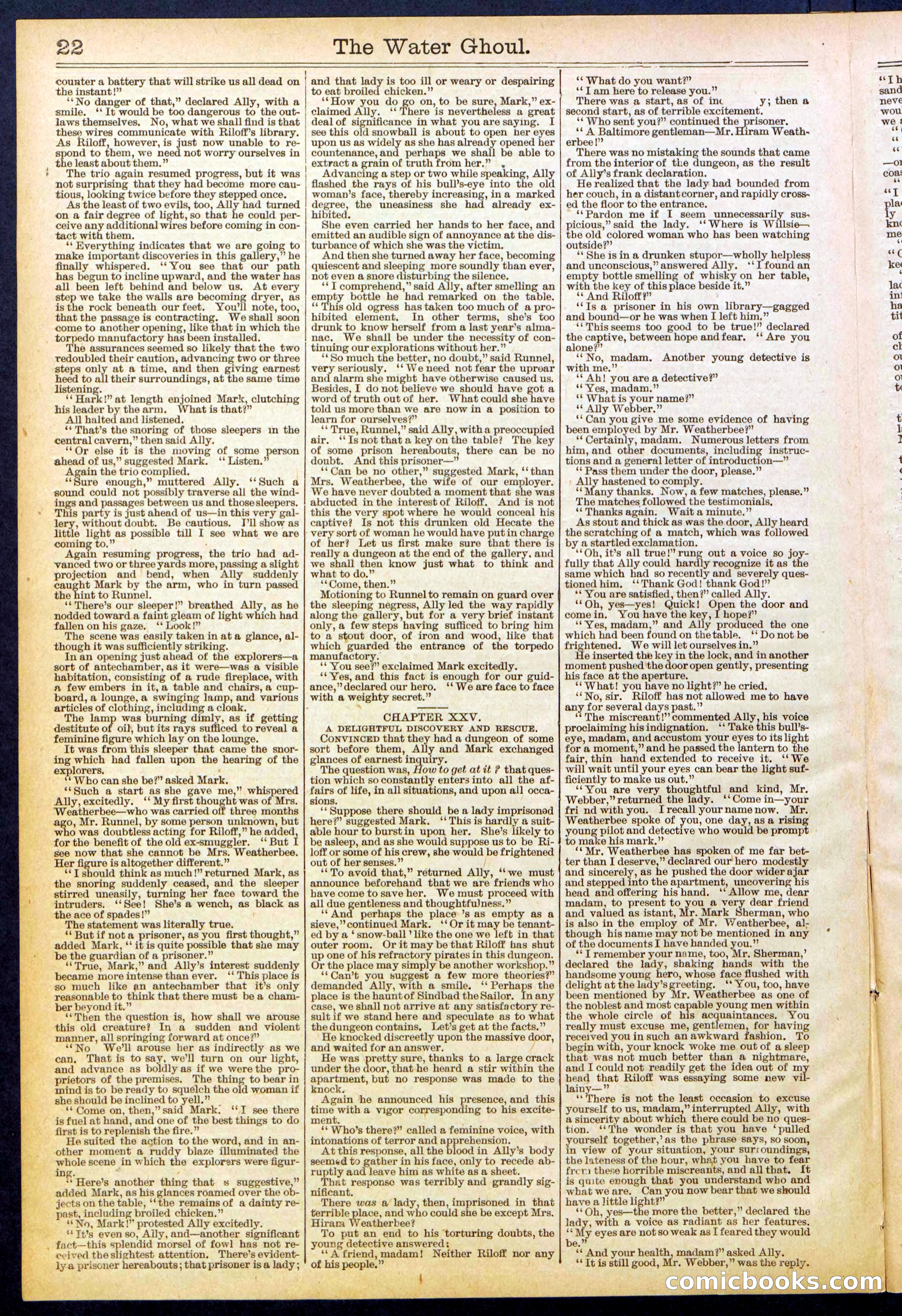 Beadle's New York Dime Library No. 624 — page 22 of 32
