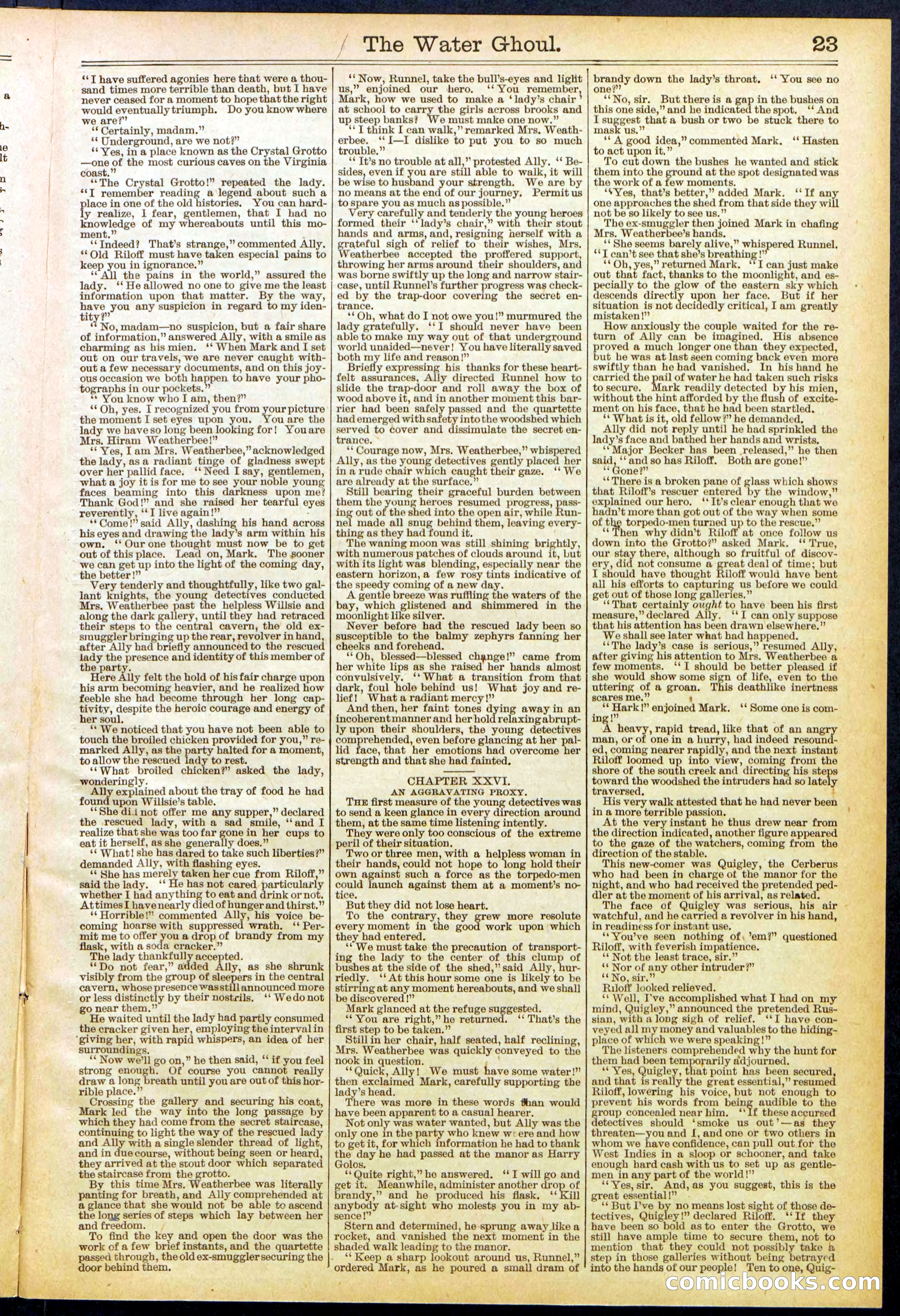 Beadle's New York Dime Library No. 624 — page 23 of 32
