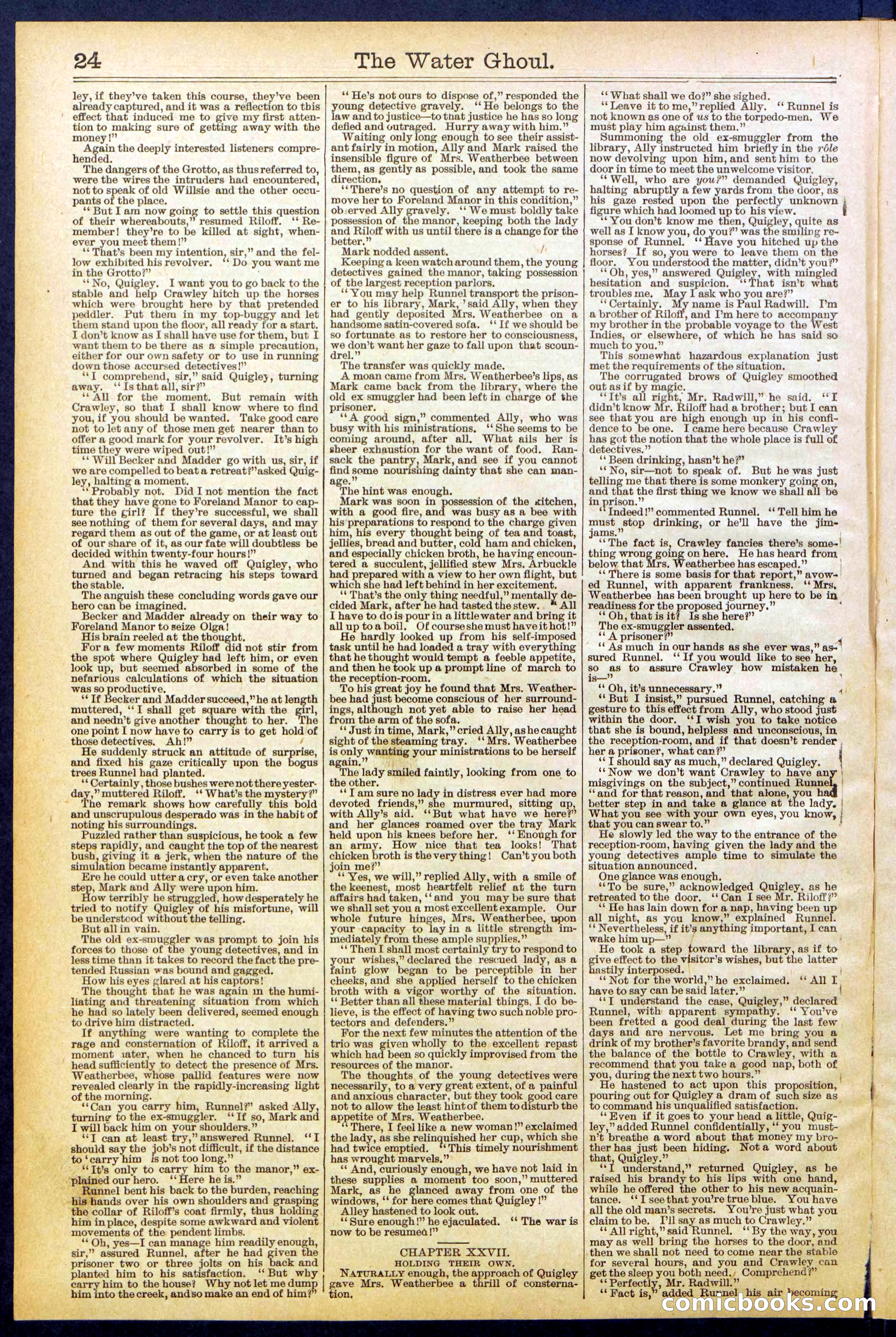 Beadle's New York Dime Library No. 624 — page 24 of 32