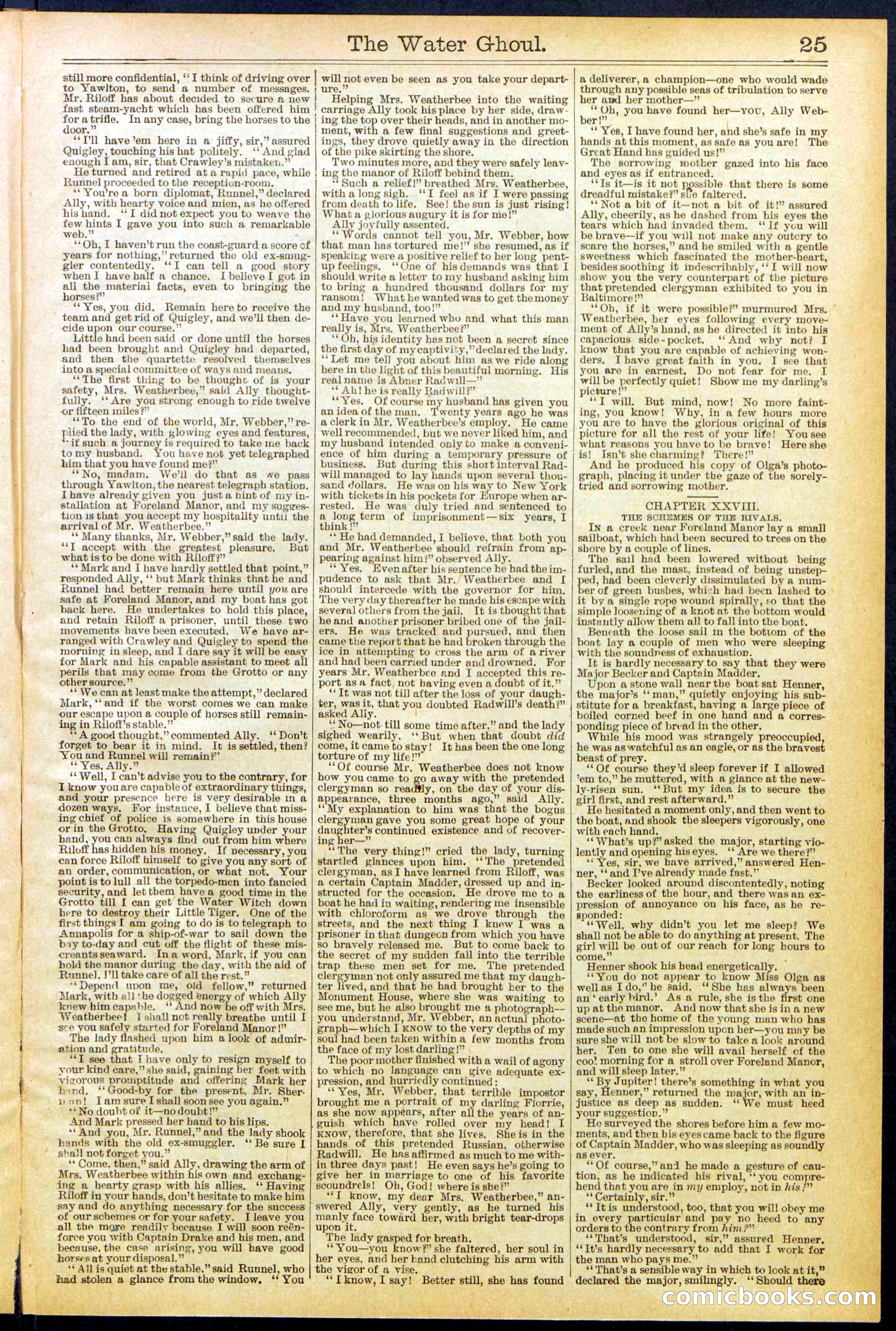 Beadle's New York Dime Library No. 624 — page 25 of 32