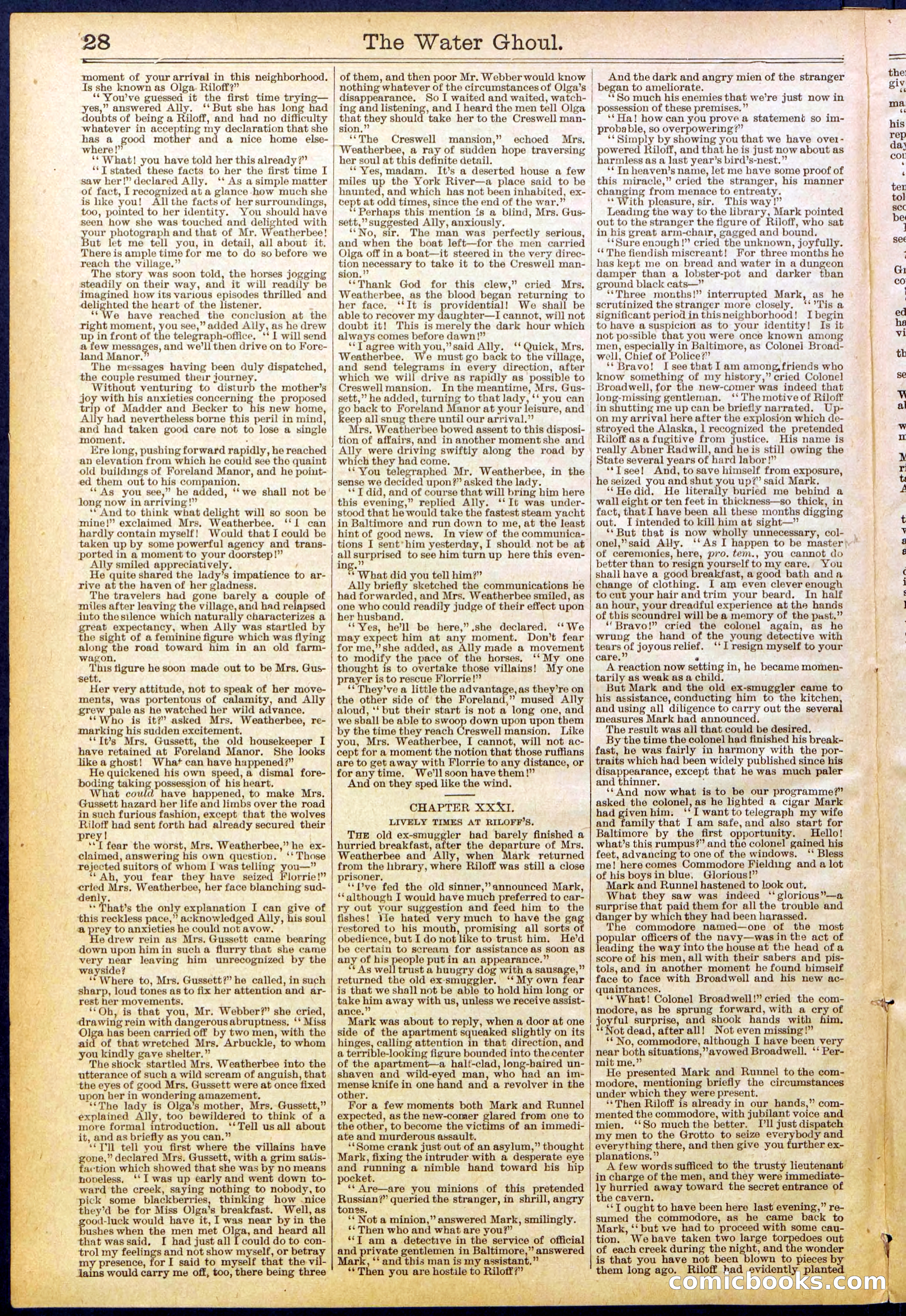 Beadle's New York Dime Library No. 624 — page 28 of 32