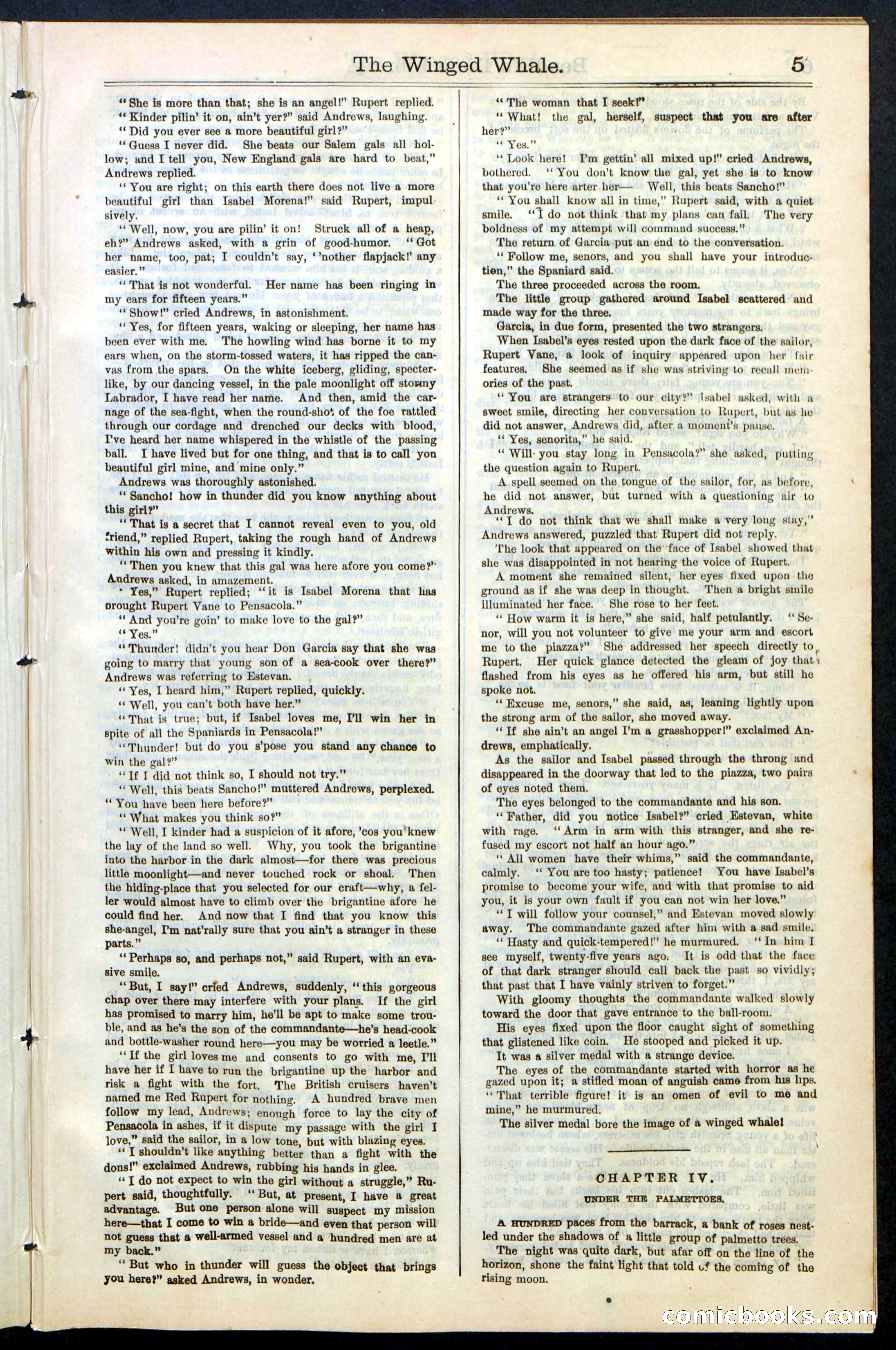 Beadle's New York Dime Library, No. 63 — page 5 of 48