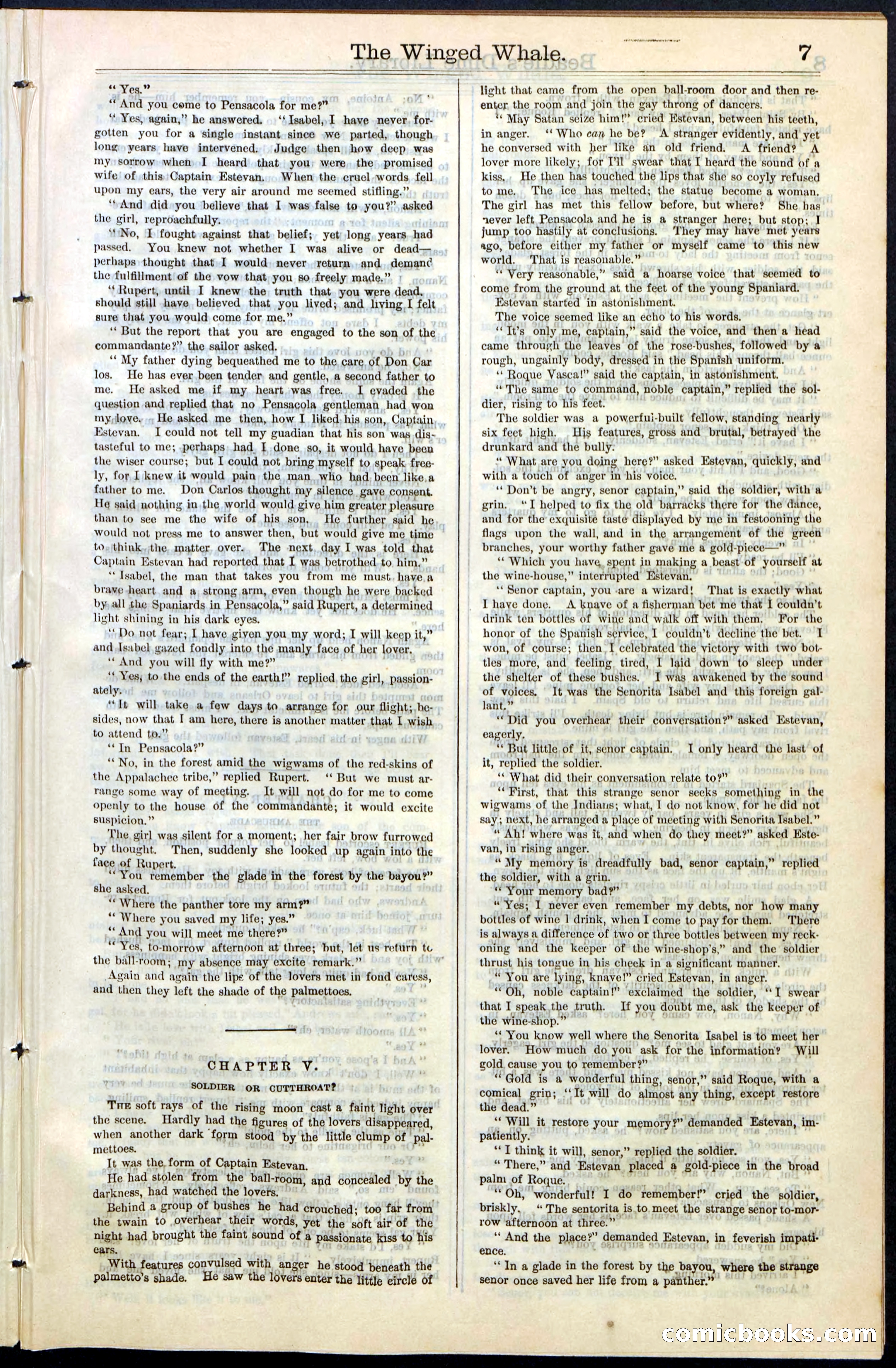 Beadle's New York Dime Library, No. 63 — page 7 of 48