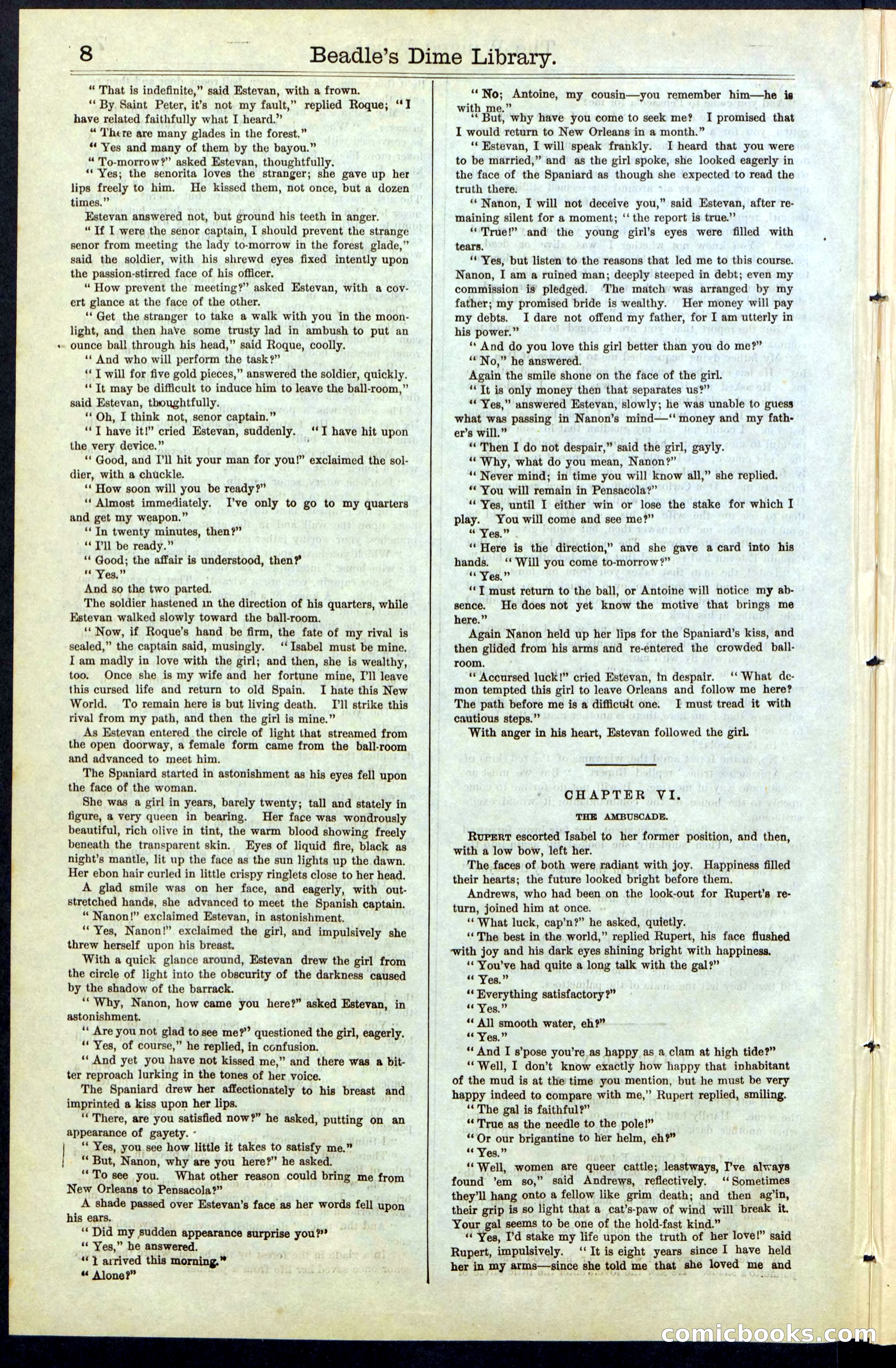 Beadle's New York Dime Library, No. 63 — page 8 of 48