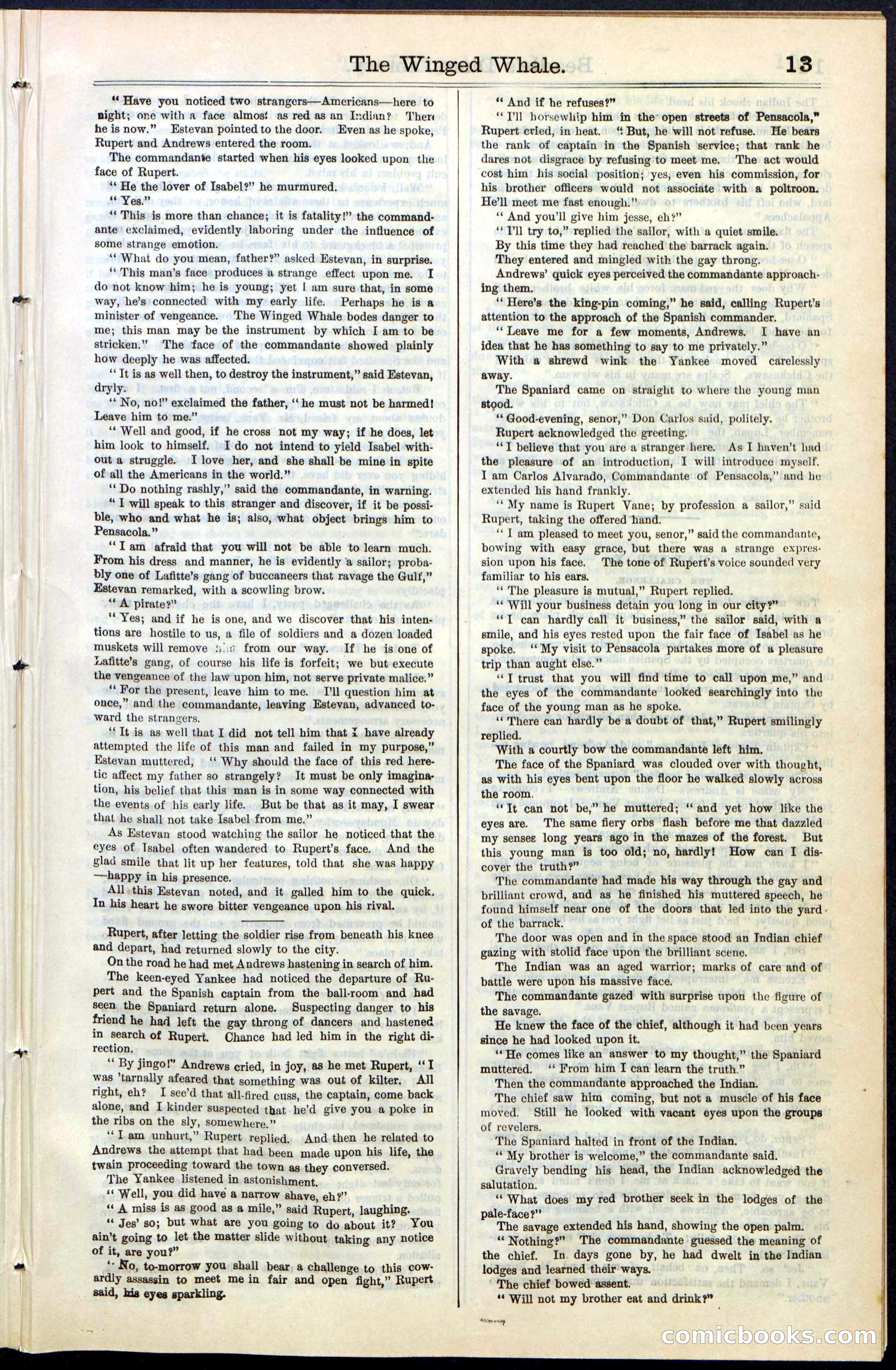 Beadle's New York Dime Library, No. 63 — page 13 of 48